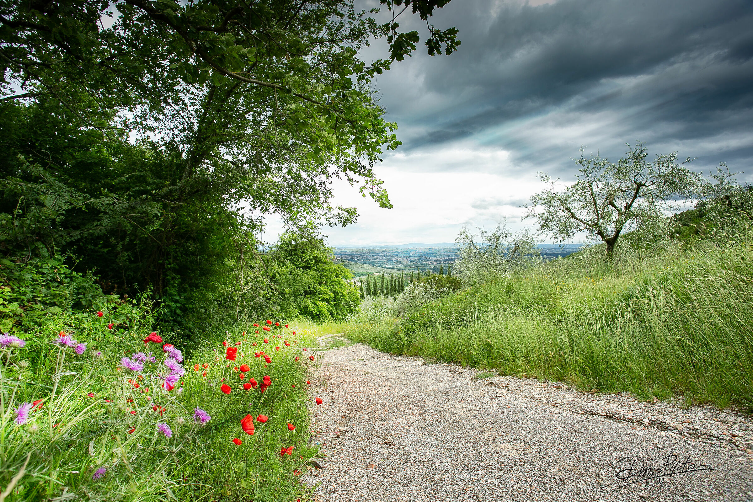 Passeggiata sul Colle