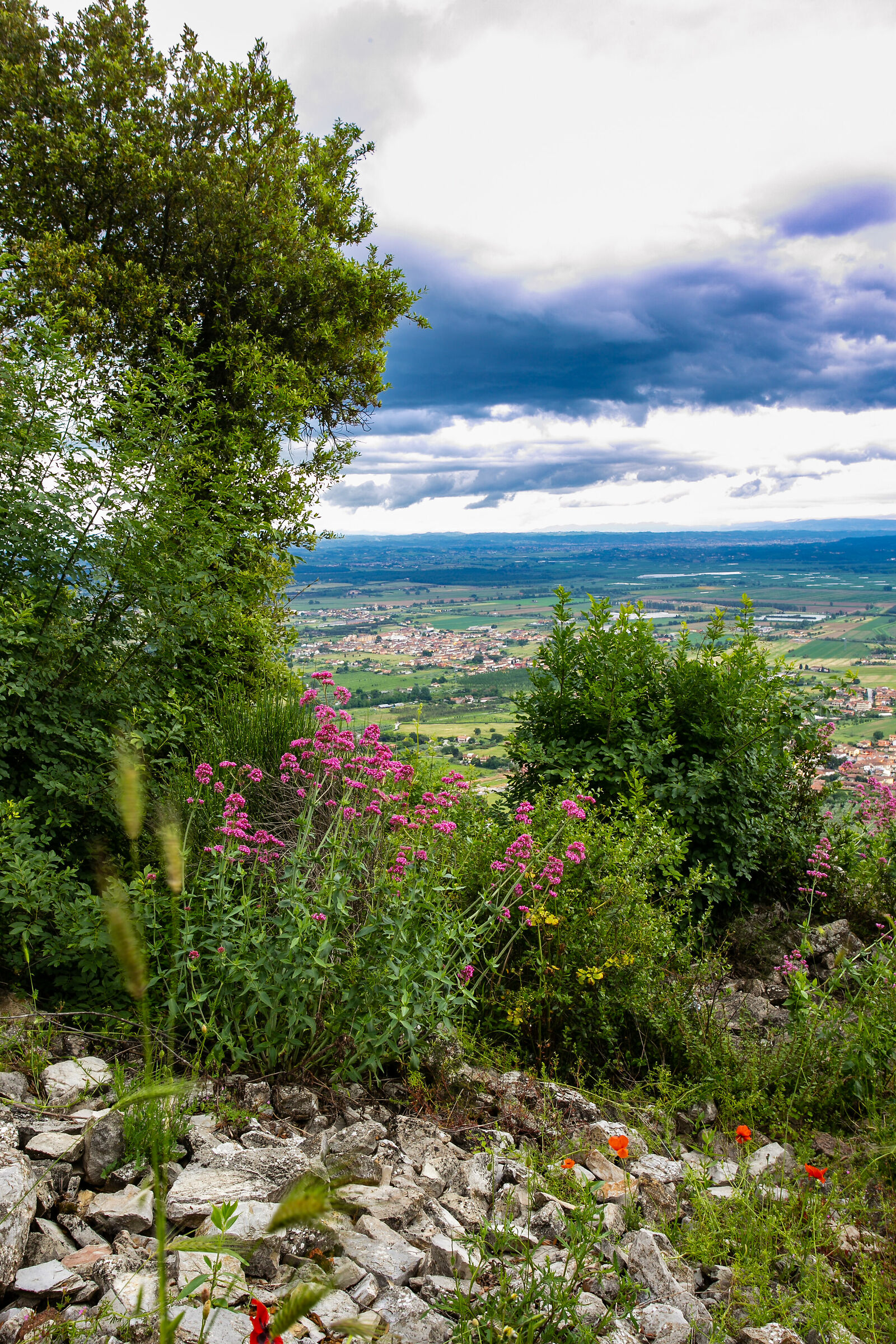 Passeggiata sul Colle