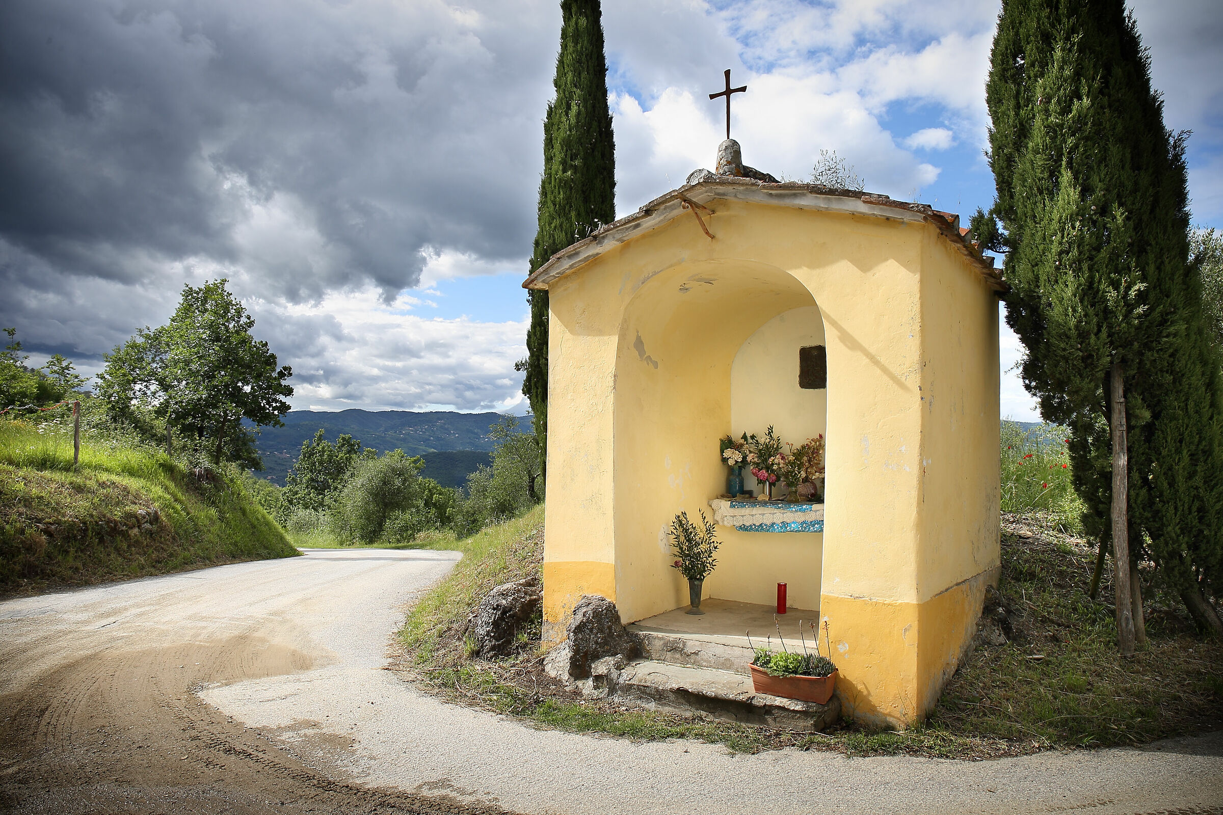 Passeggiata sul Colle