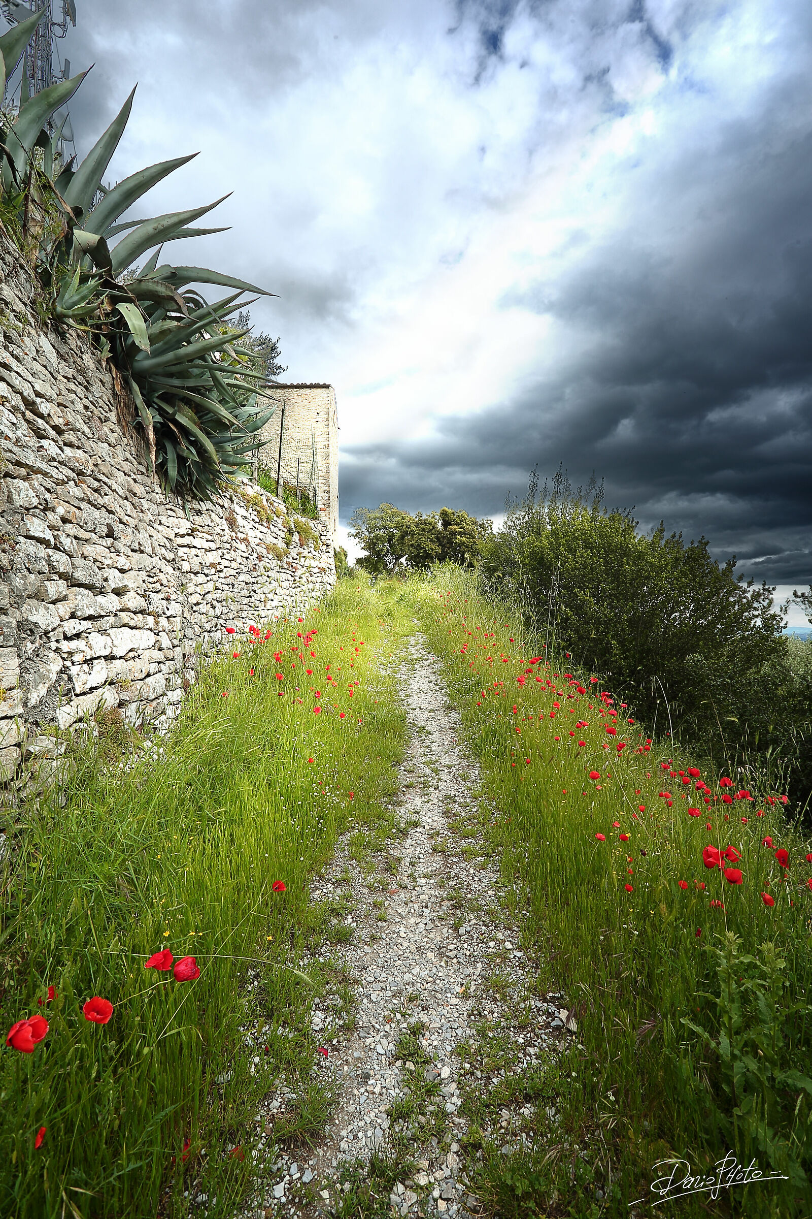 Passeggiata sul Colle