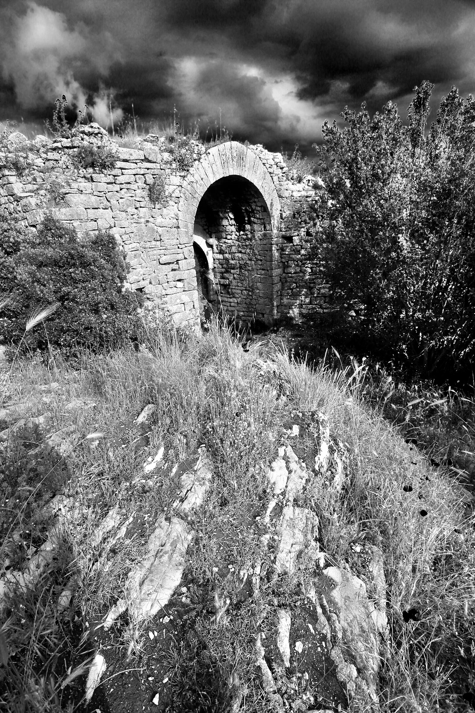 Passeggiata sul Colle