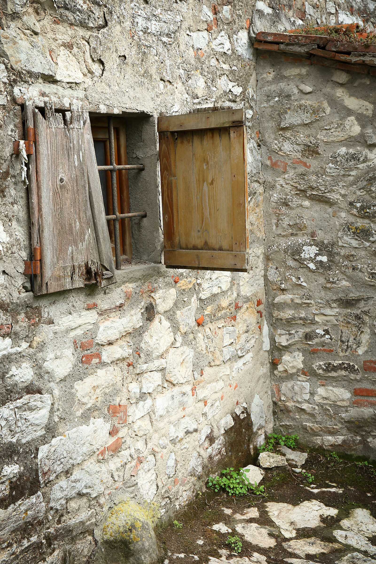 Passeggiata sul Colle