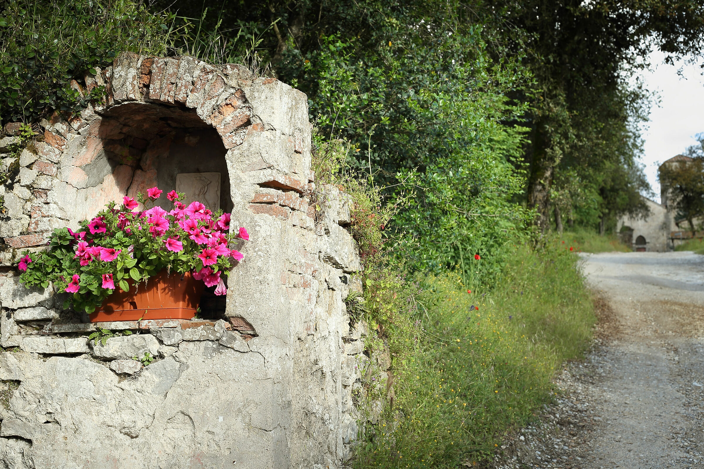 Passeggiata sul Colle