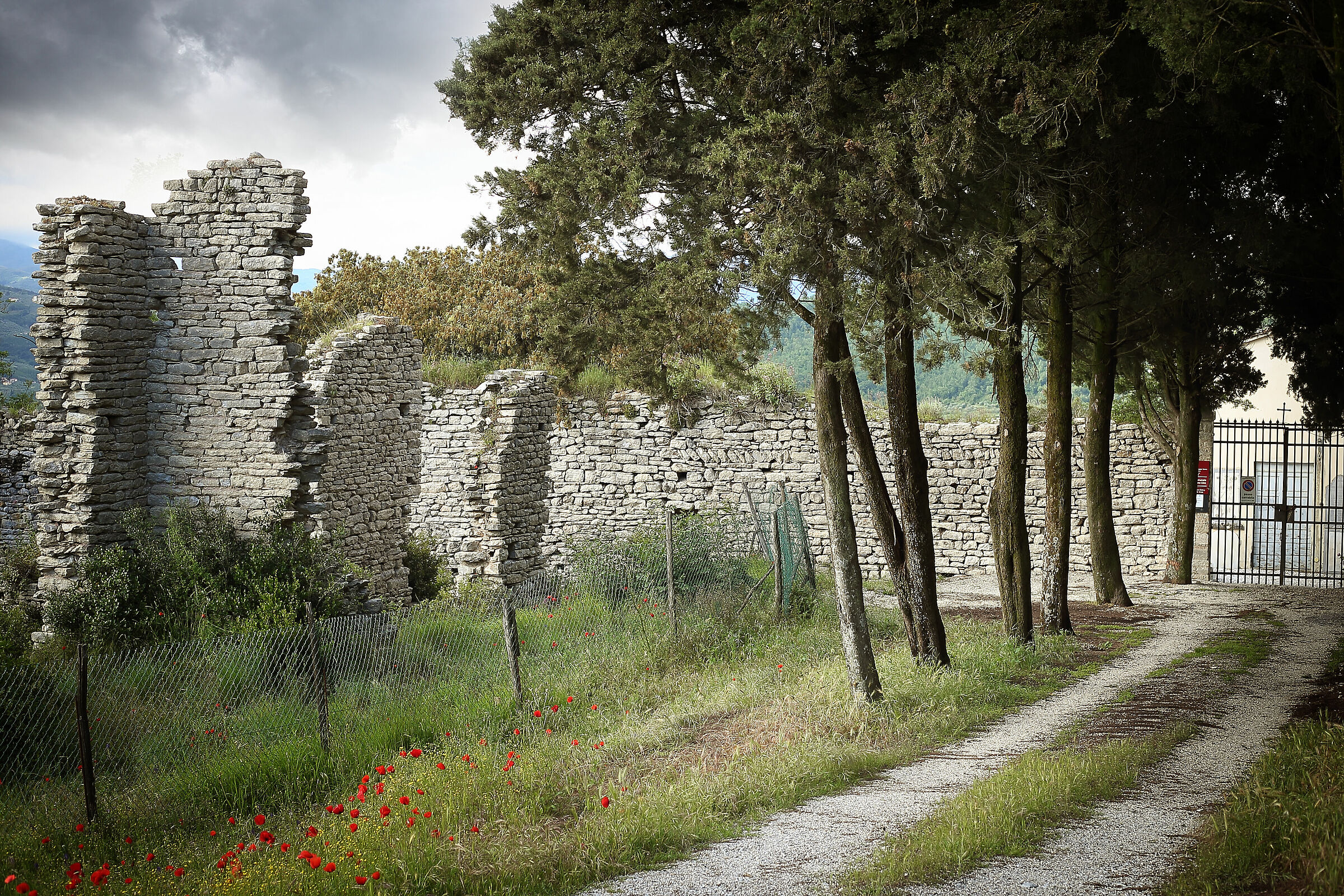 Passeggiata sul Colle