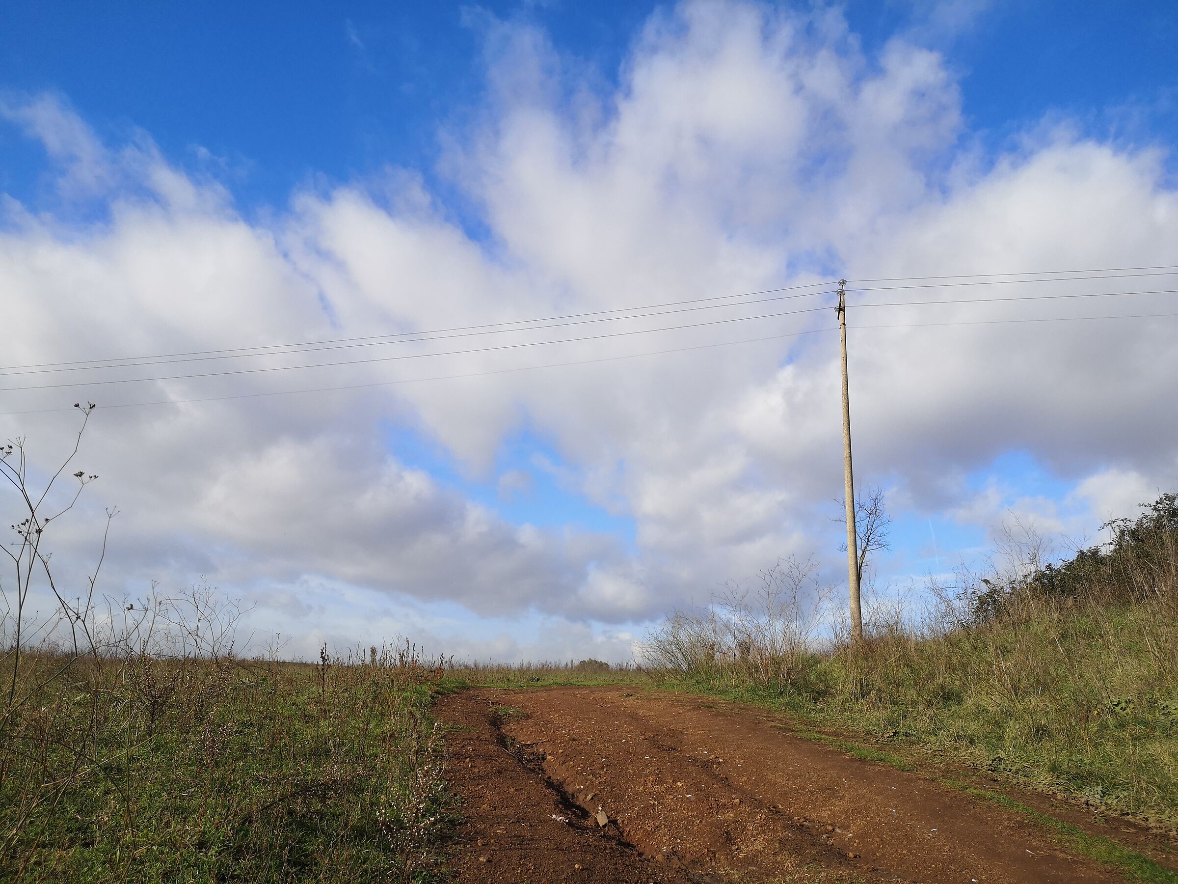 The sky the pastures