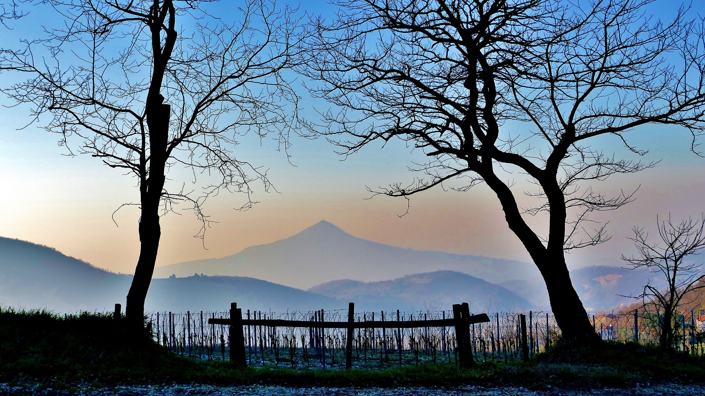 Colli Euganei da monte Gemola