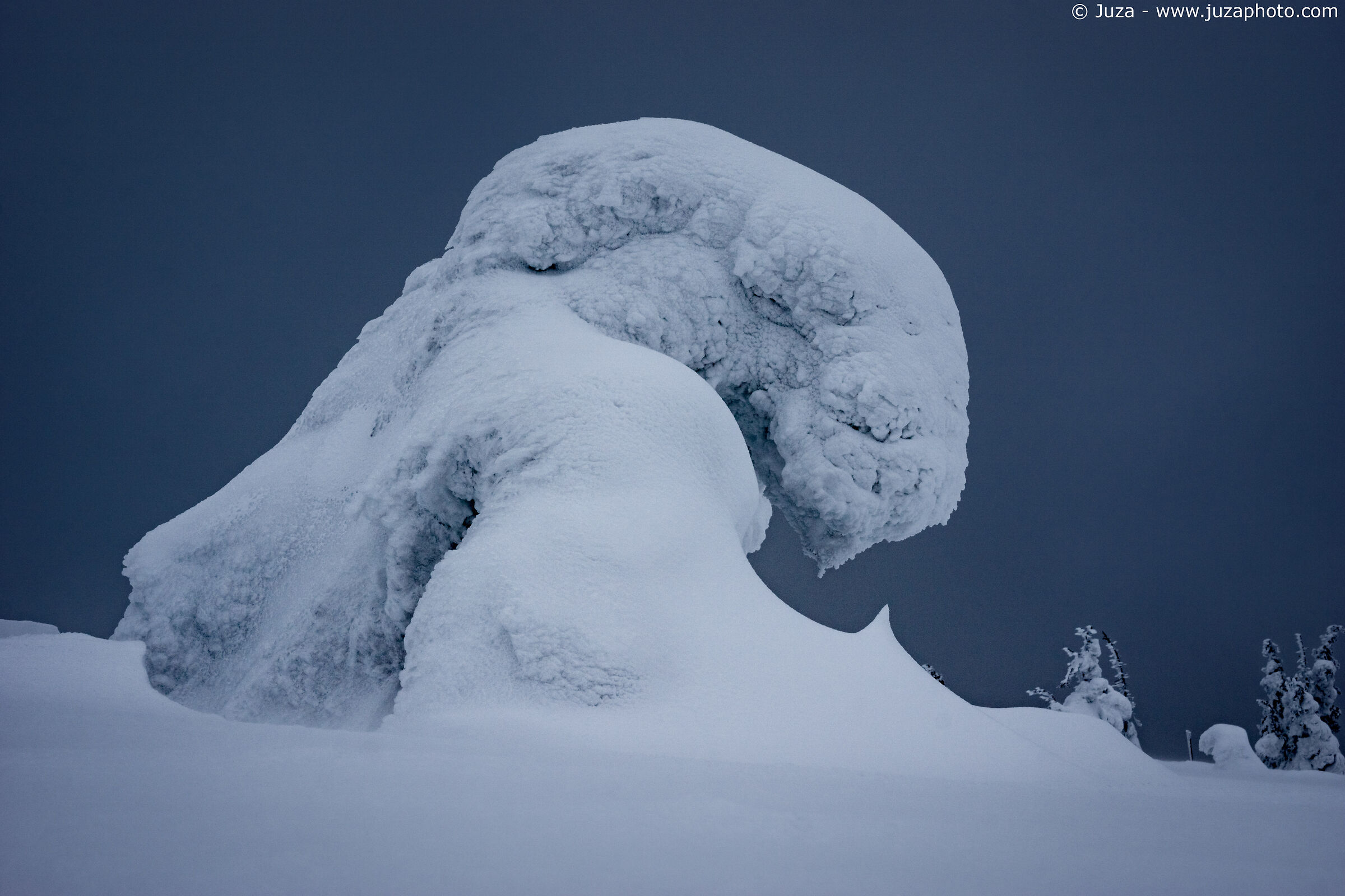 The Creature in the Snow