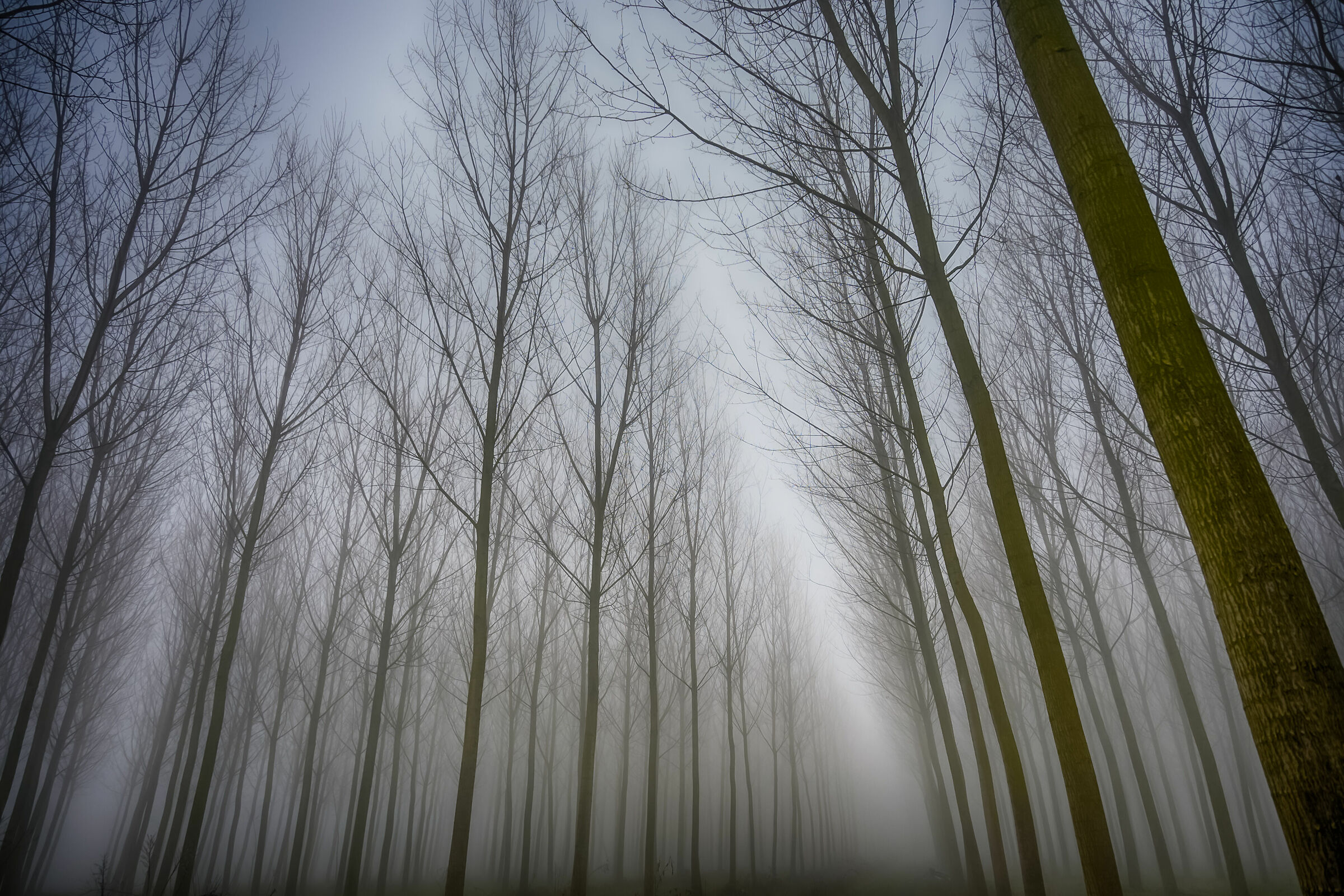 Untitled Photo