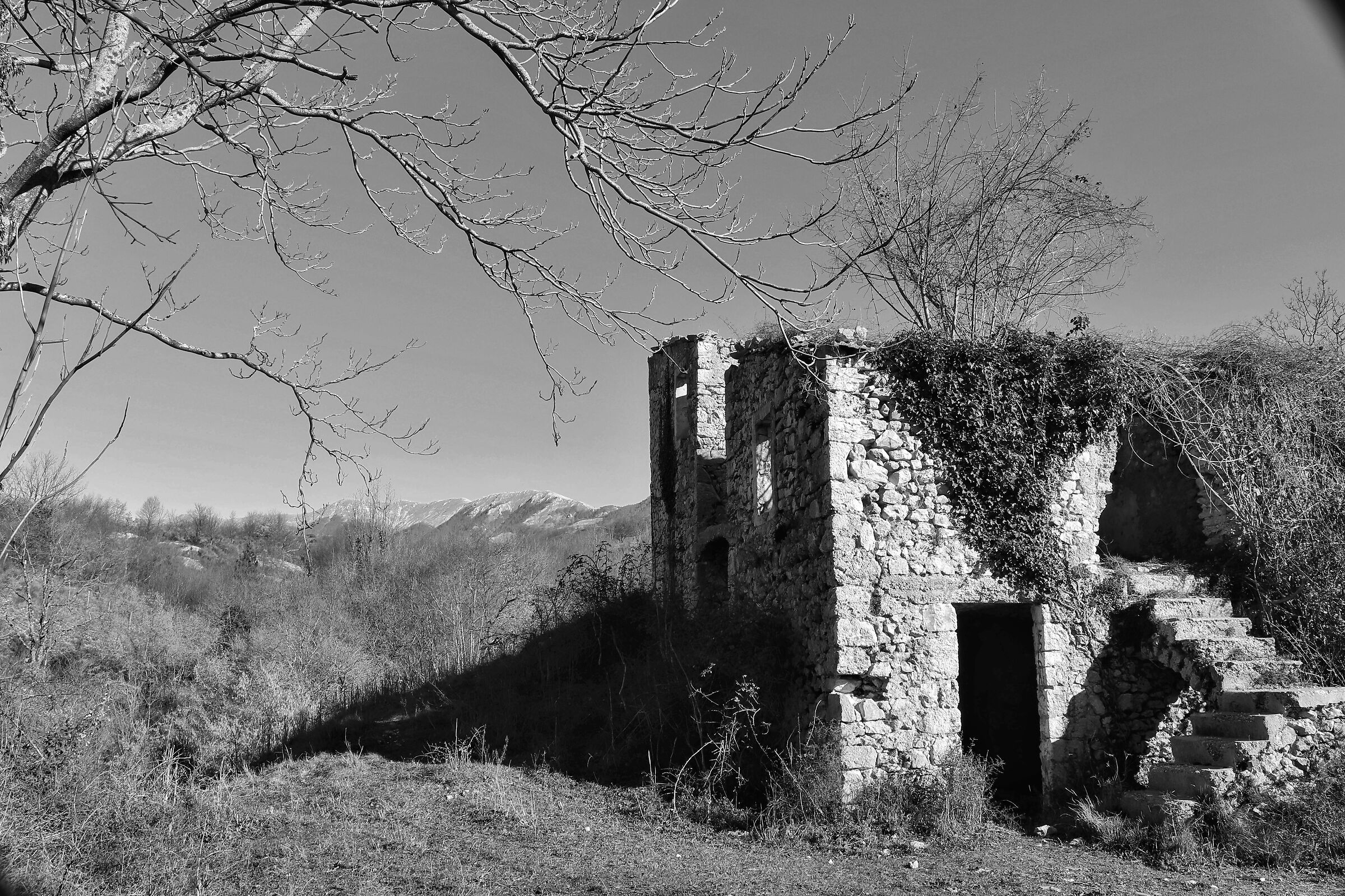 Untitled Photo