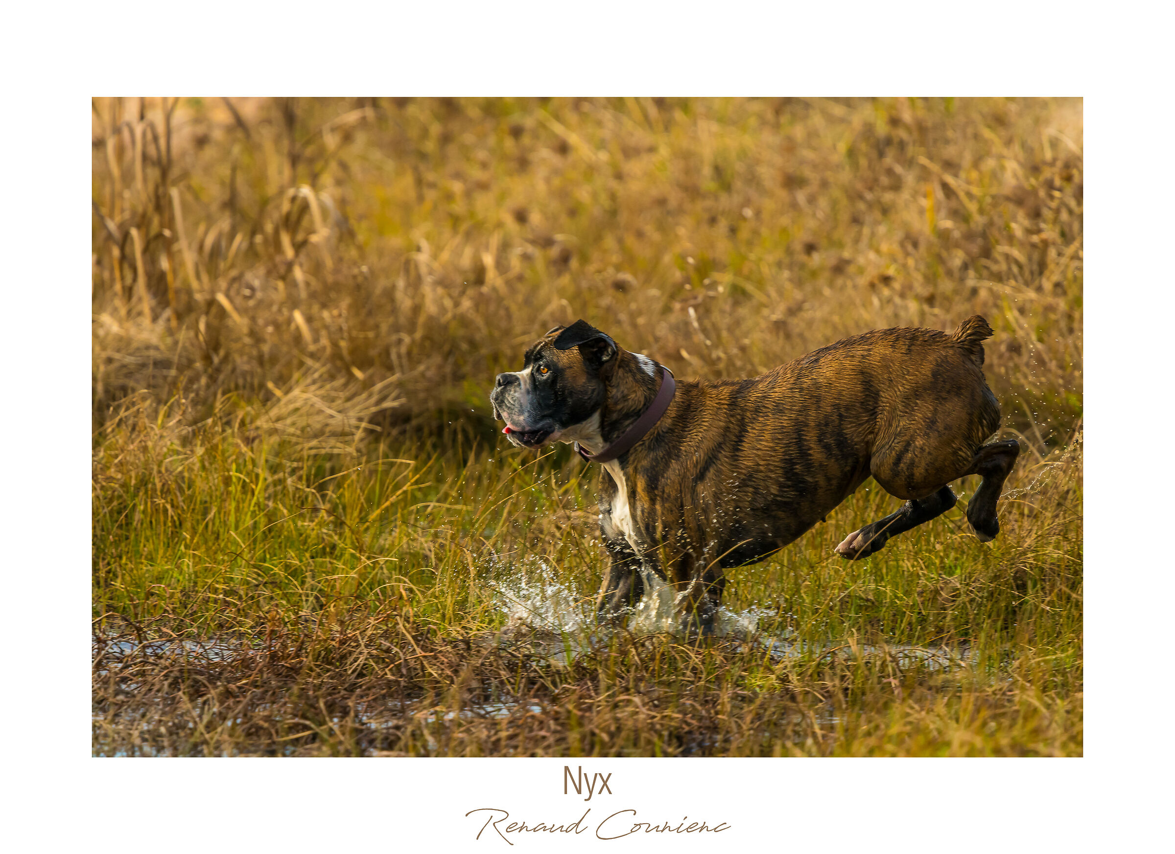 Adoro immergermi nell'acqua