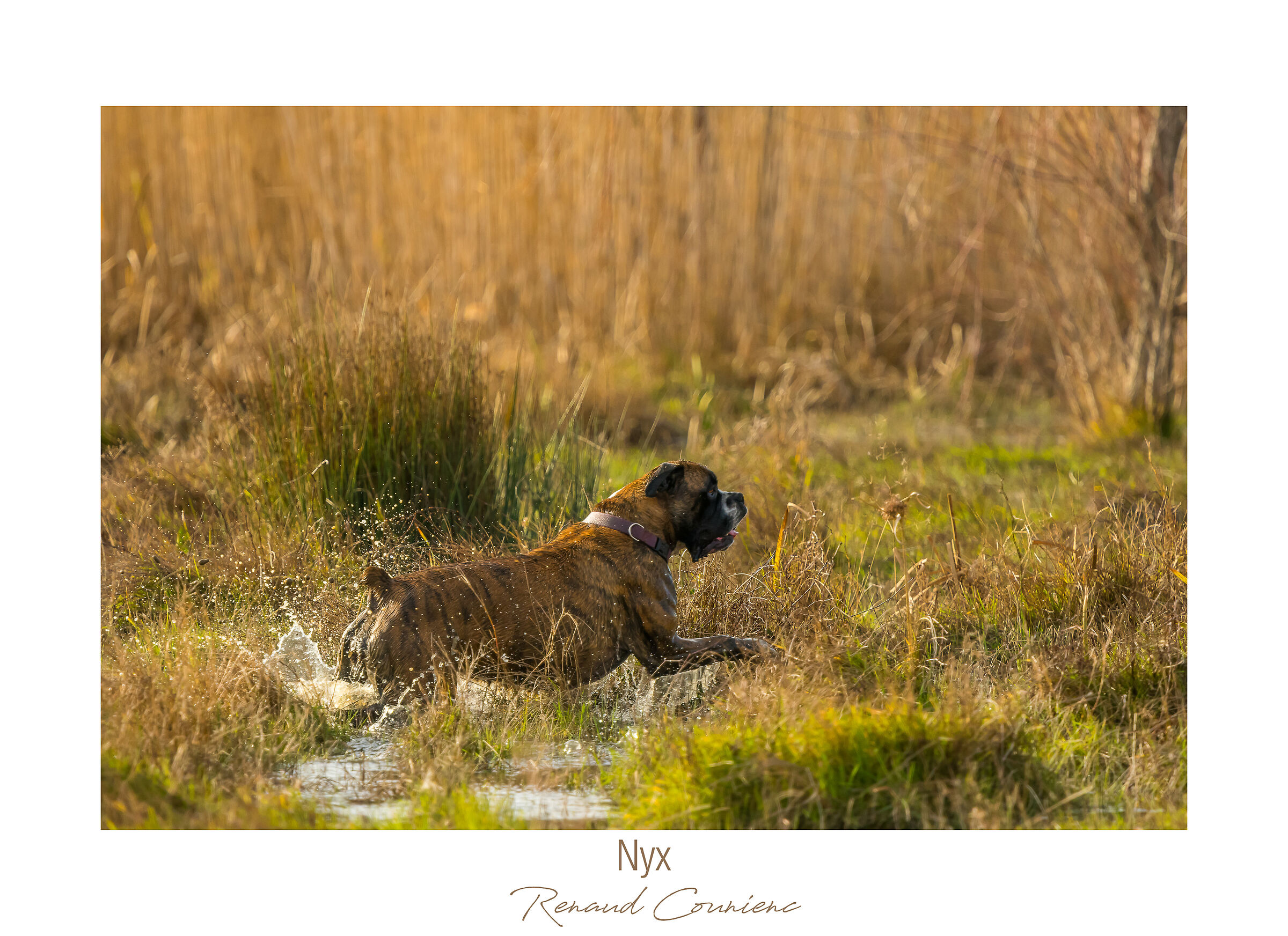 My coat camouflages me