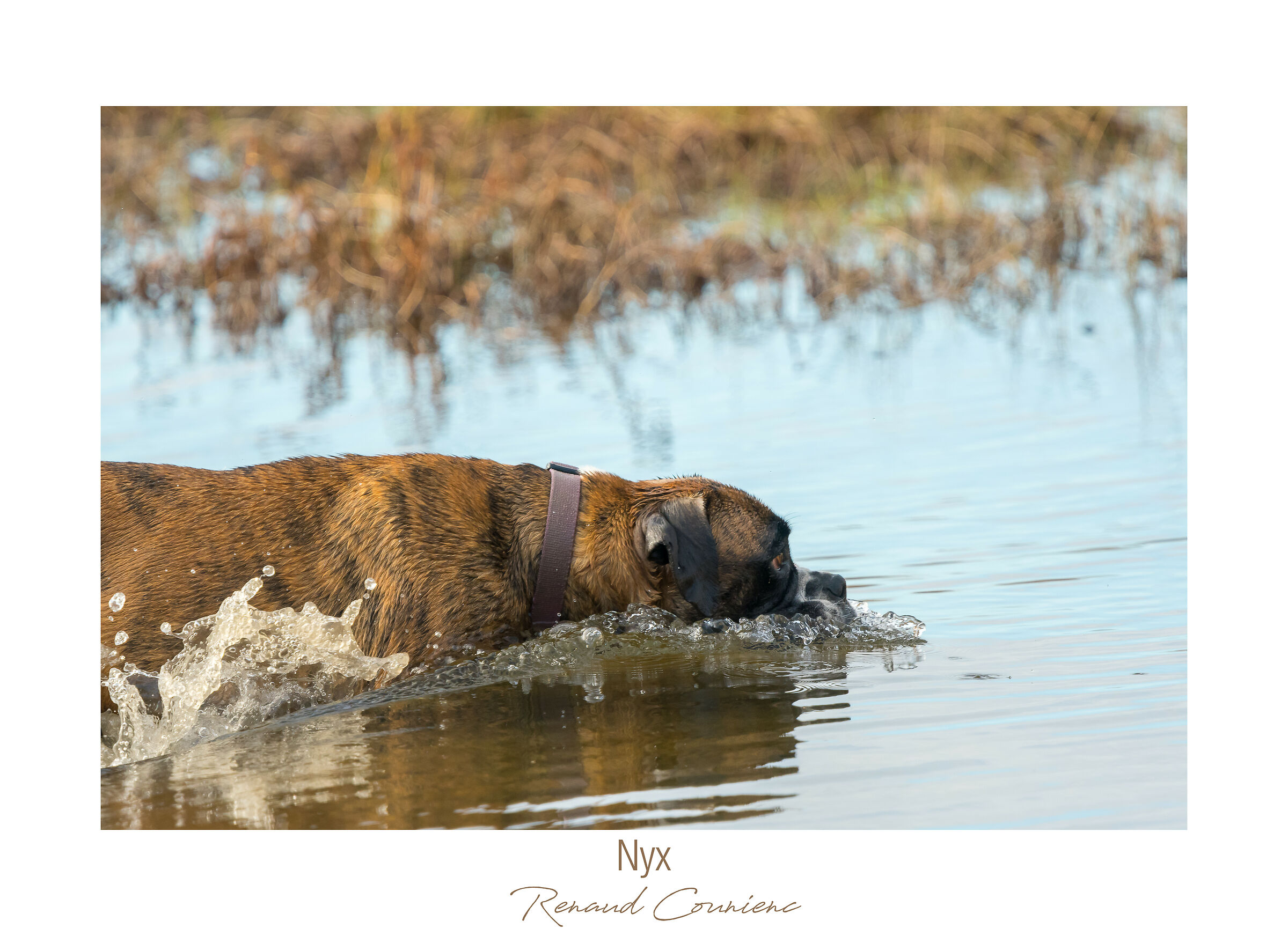 I like to taste the water