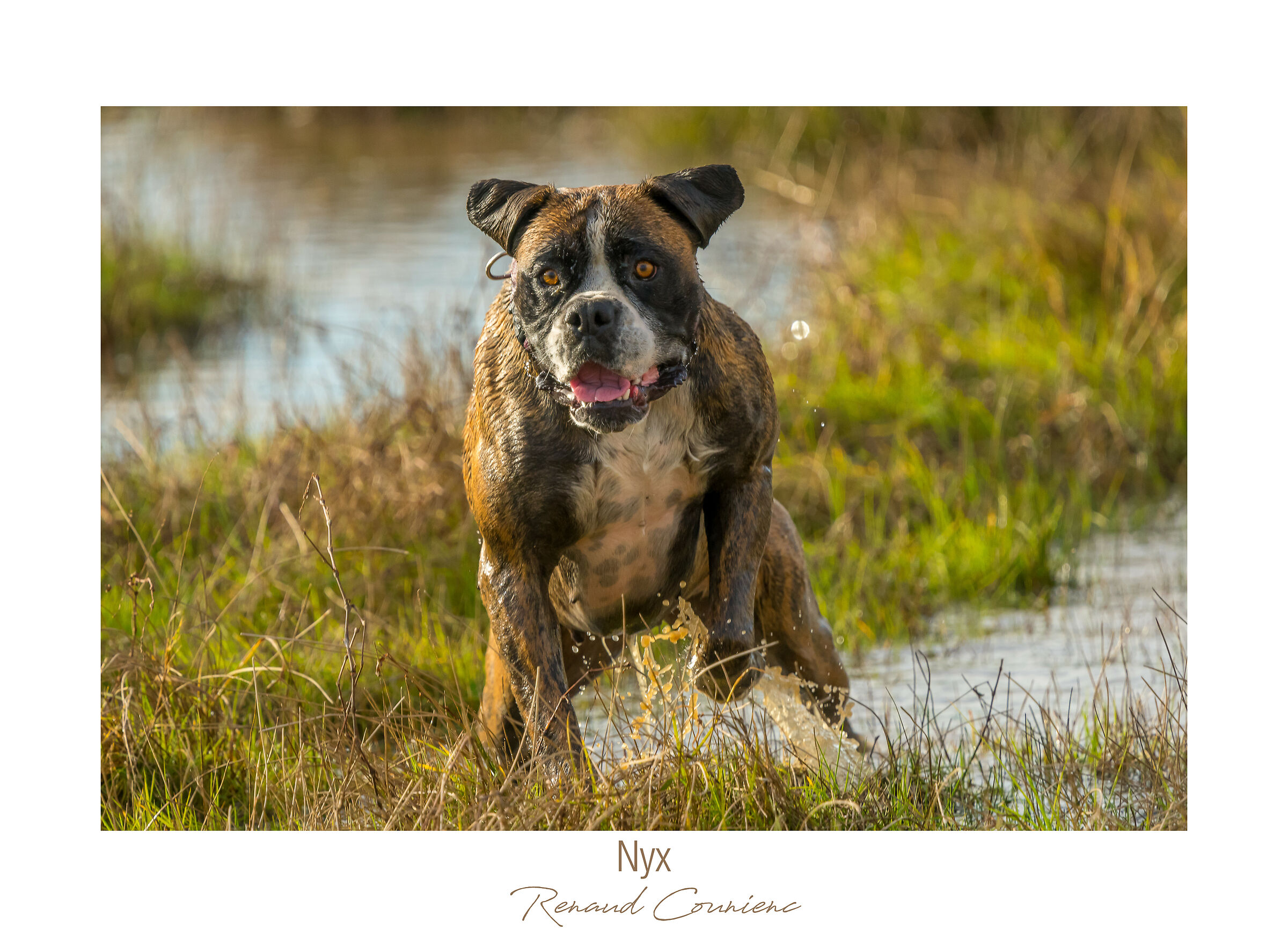 I am impressive but so kind