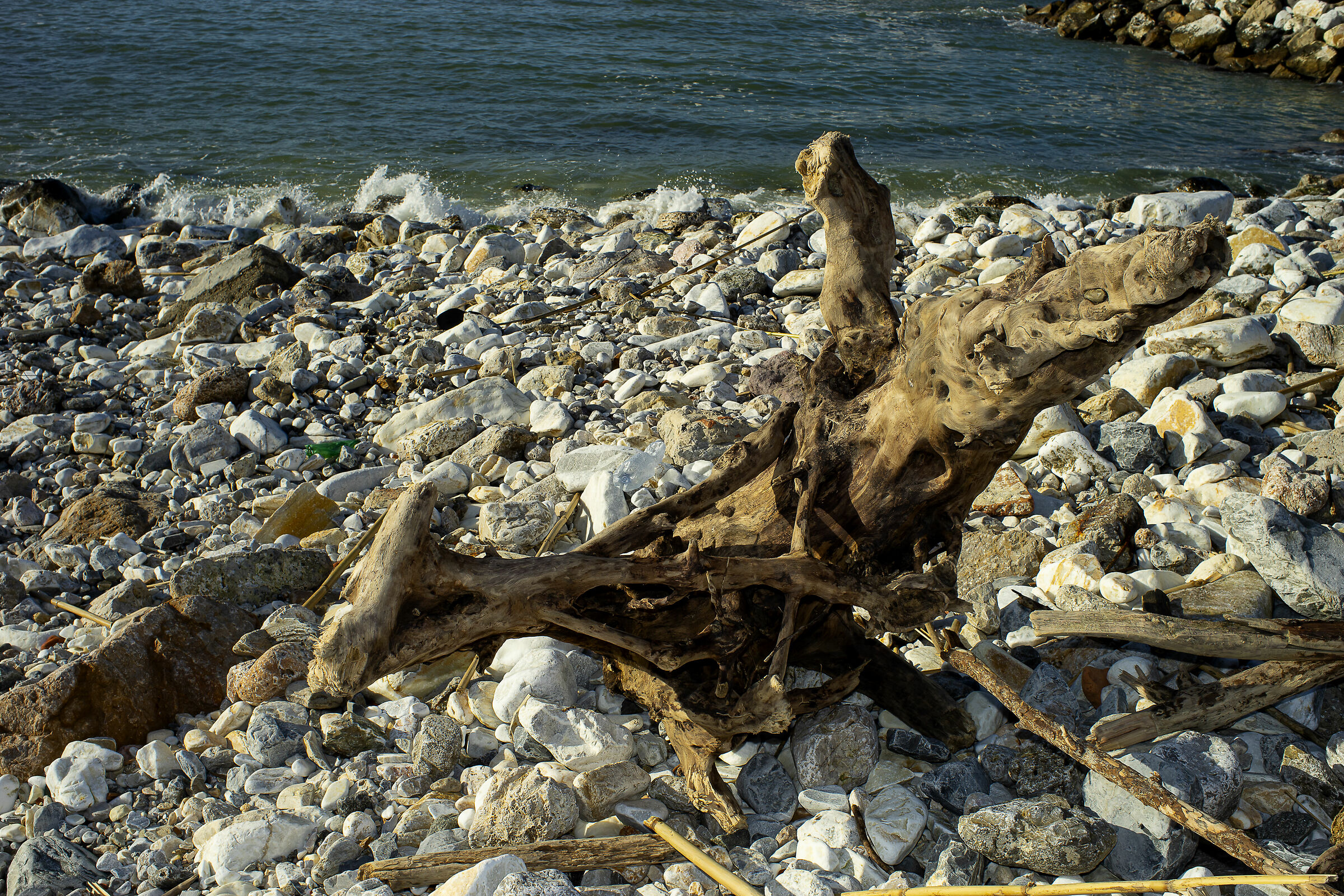 MARINA OF PISA 21MM SUPER ANGULON R