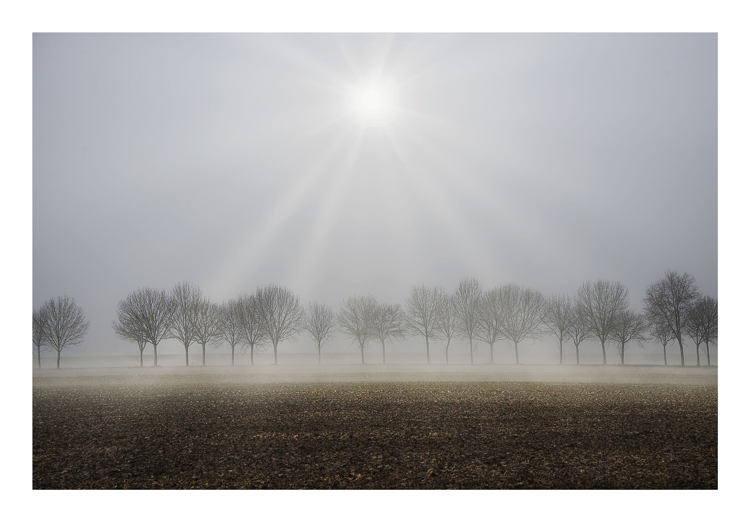 sun rays in the mist