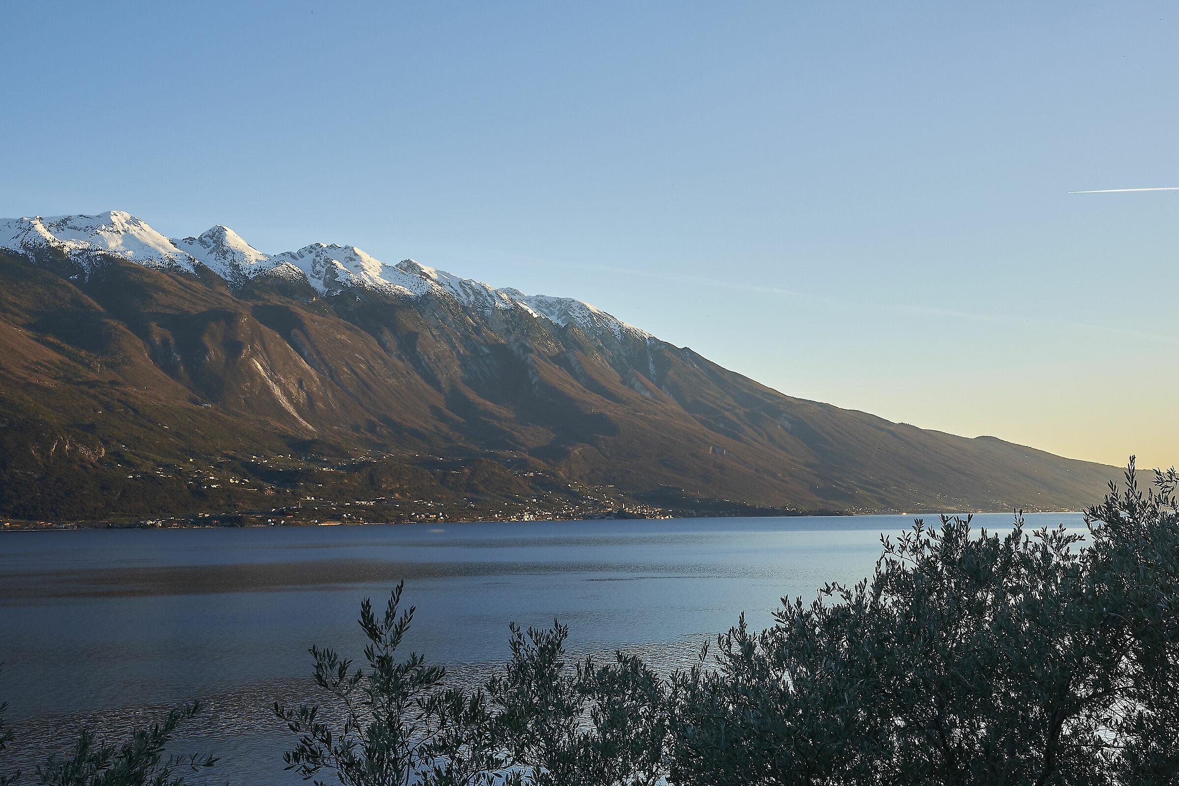 da Limone