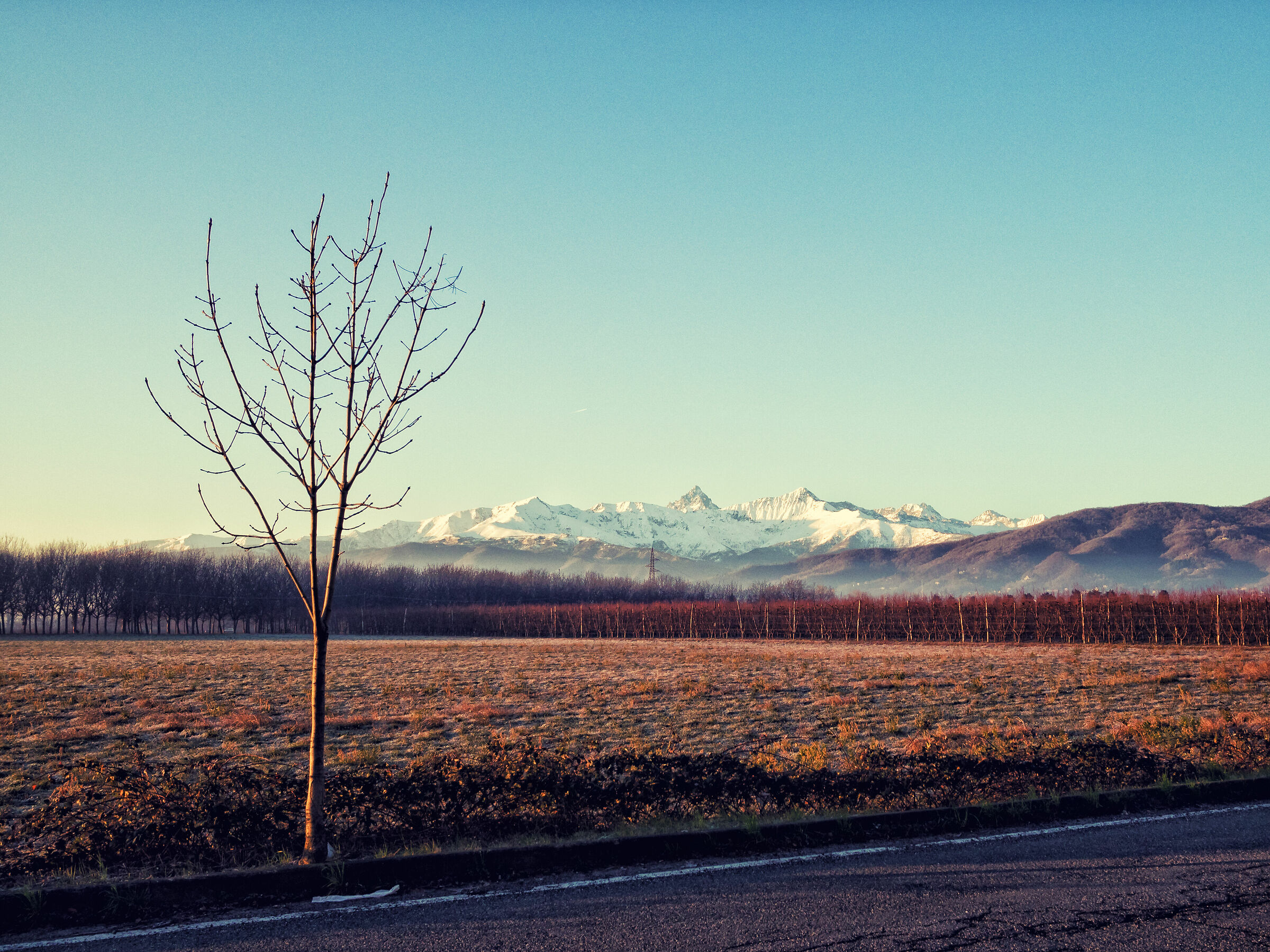 Alps landscape