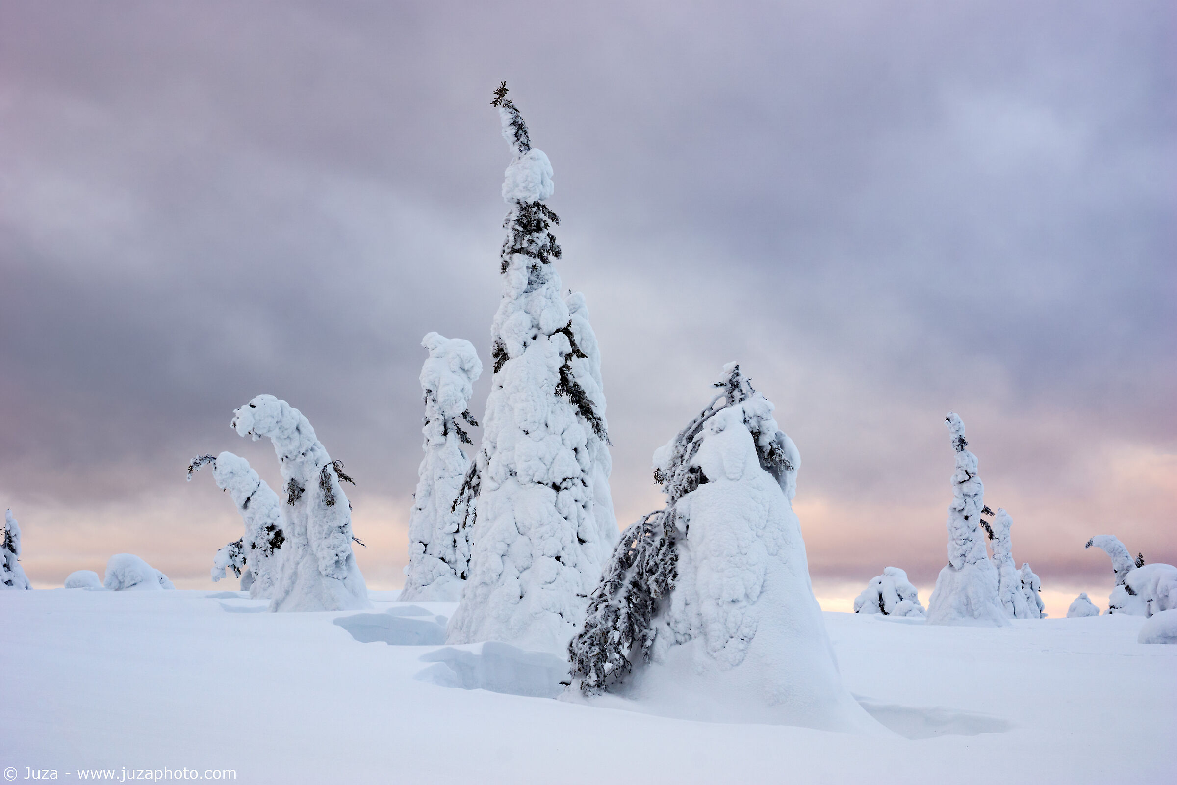 Pastel shades in Riisitunturi
