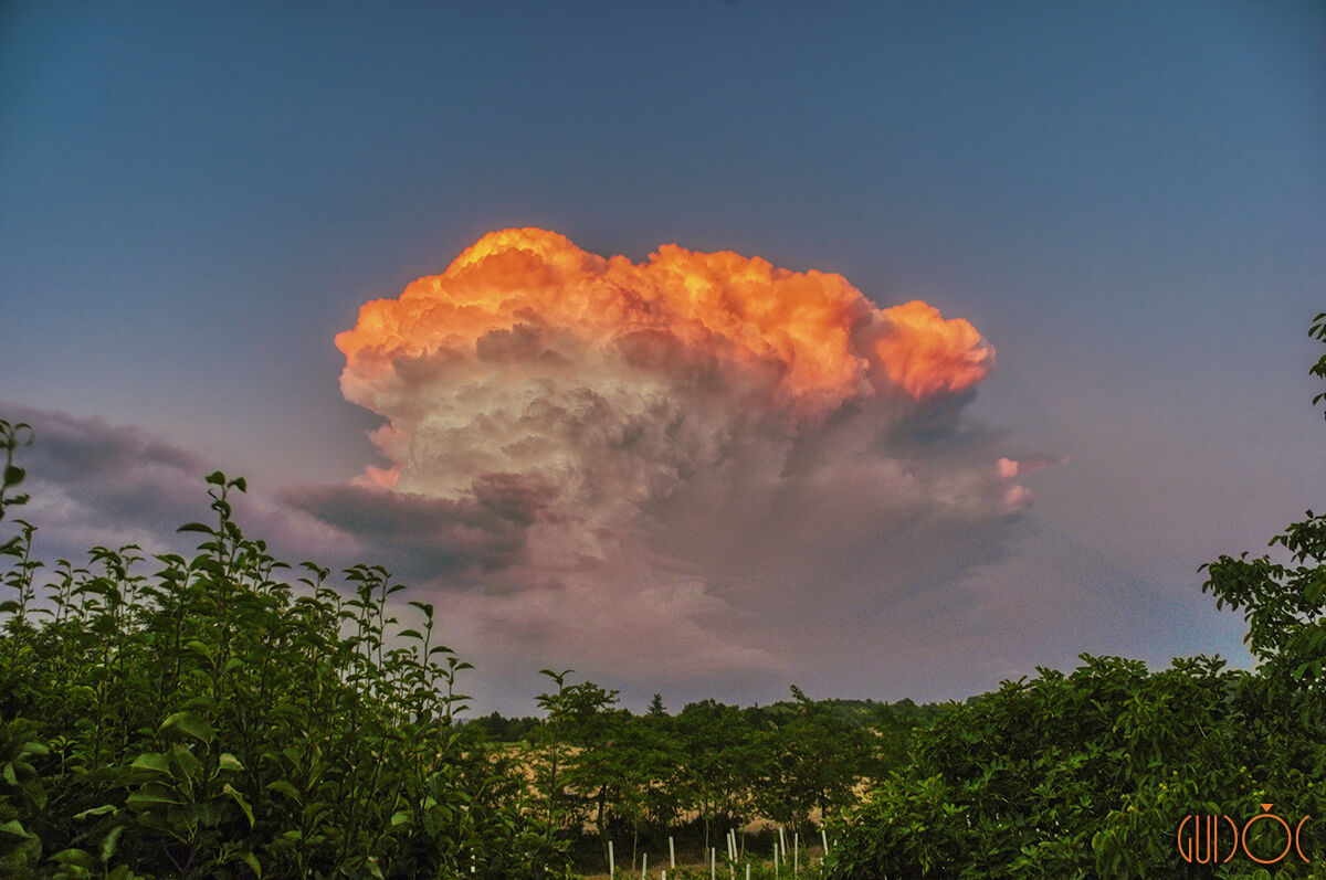 Un (cavol)fior di nuvola