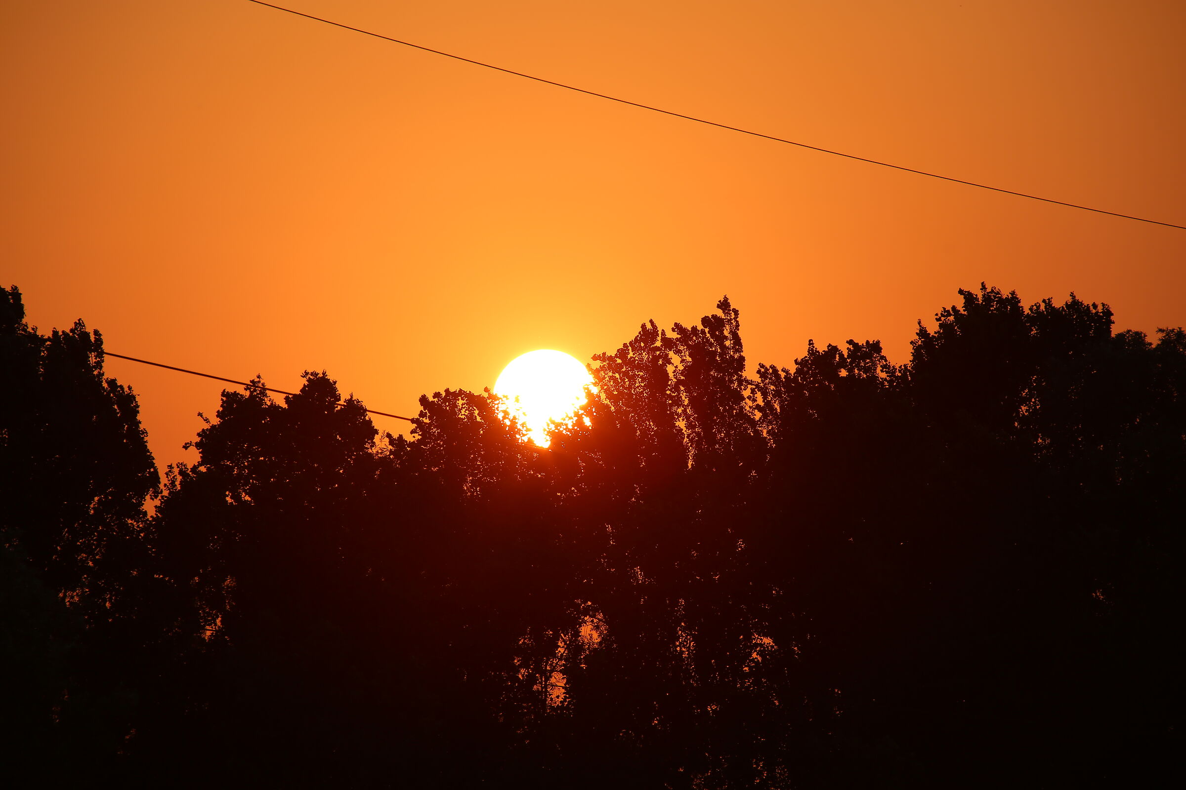 Sunset over the trees