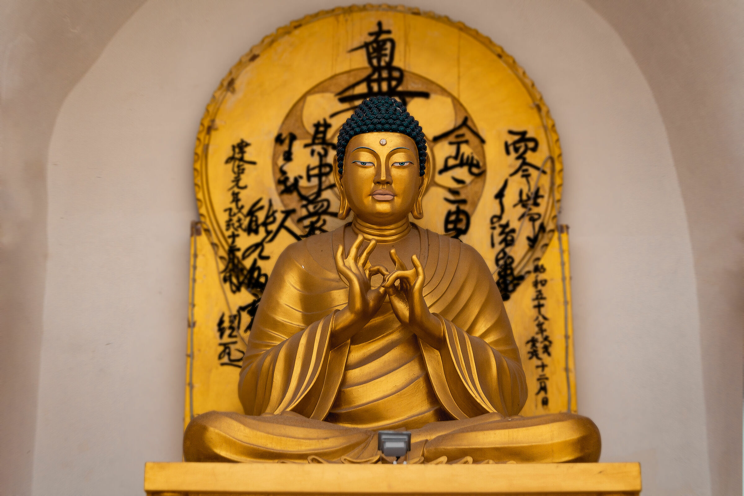 Buddha at Shanti Stupa