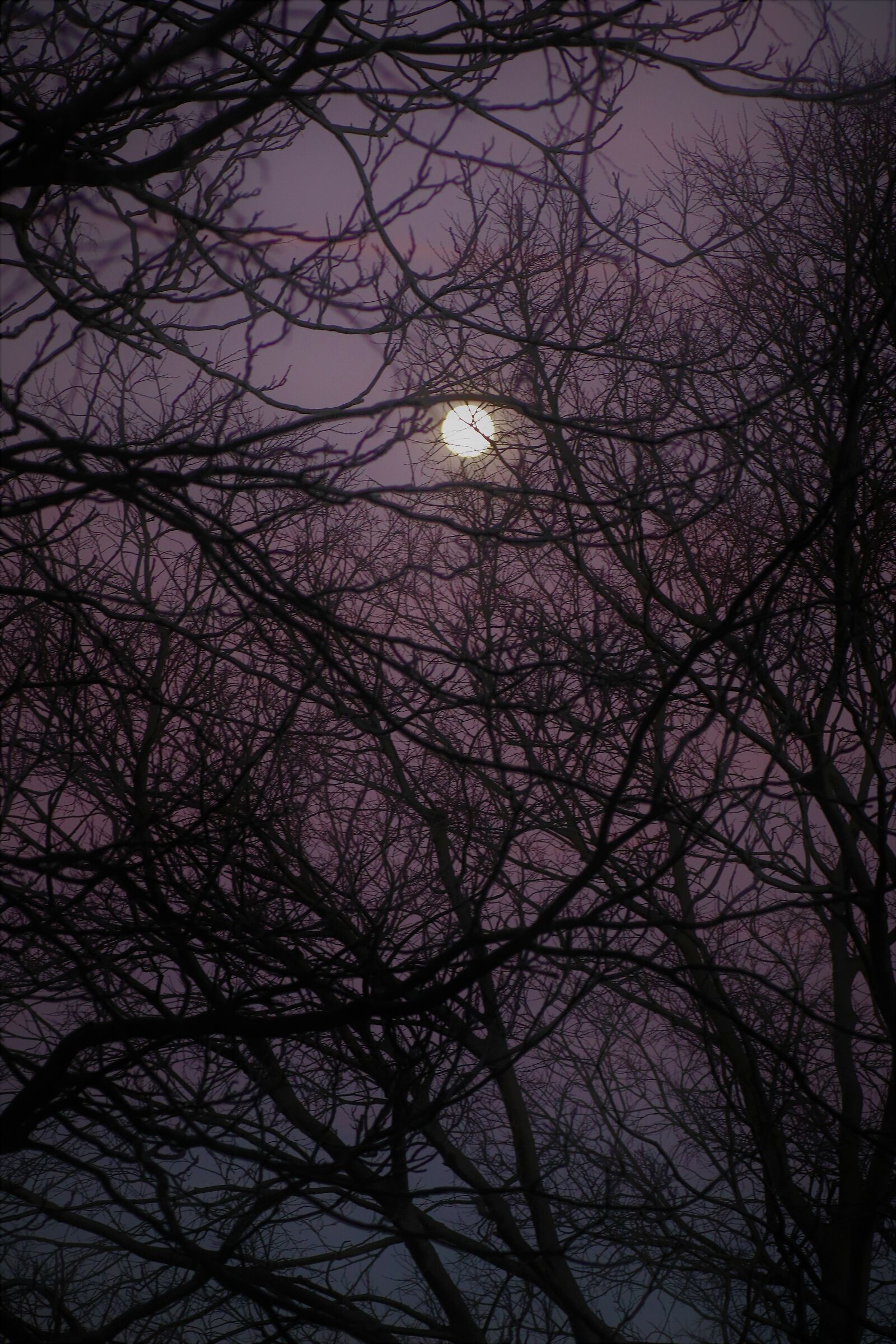 and the moon knocked