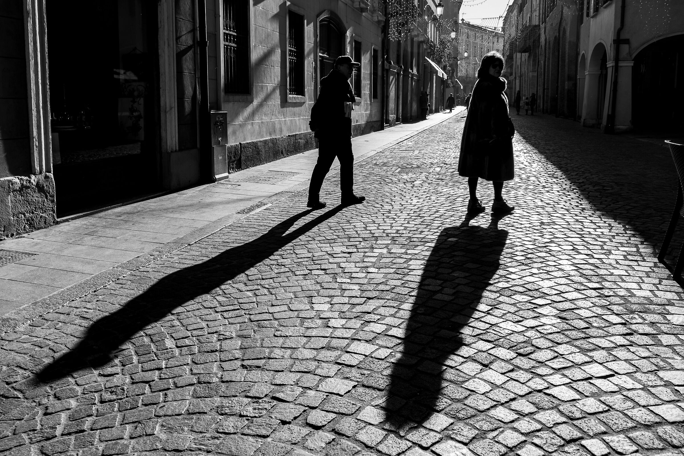 the shadow of life