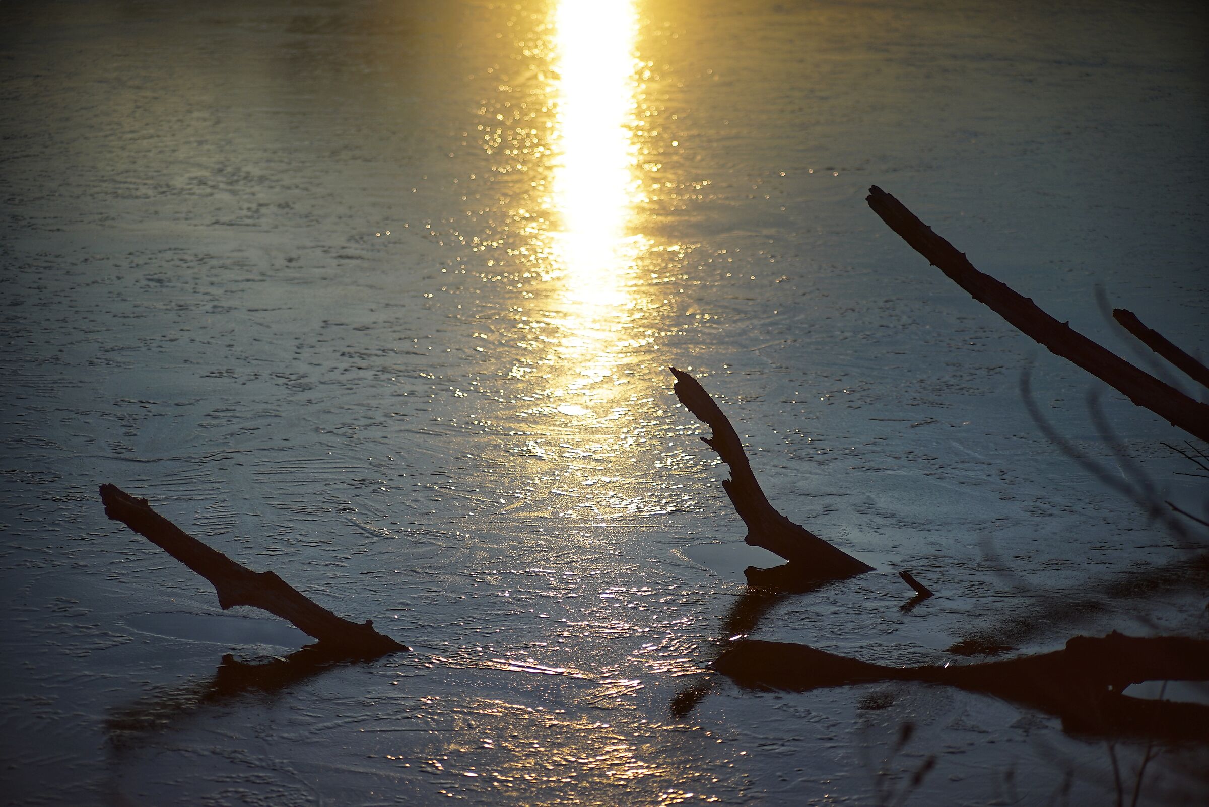 Mani di cielo, bagnate di poesia