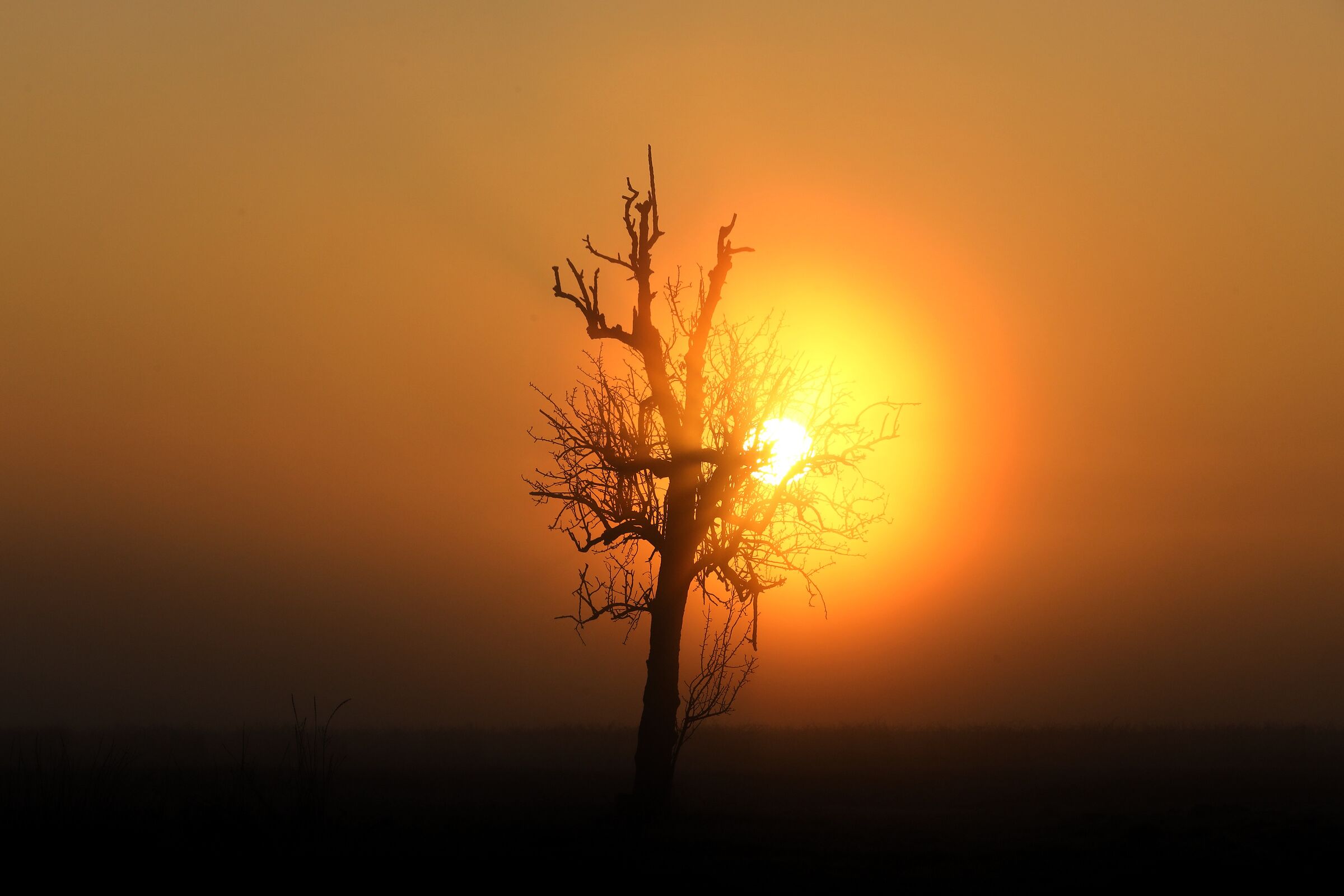 Il rosso non è sempre di sera