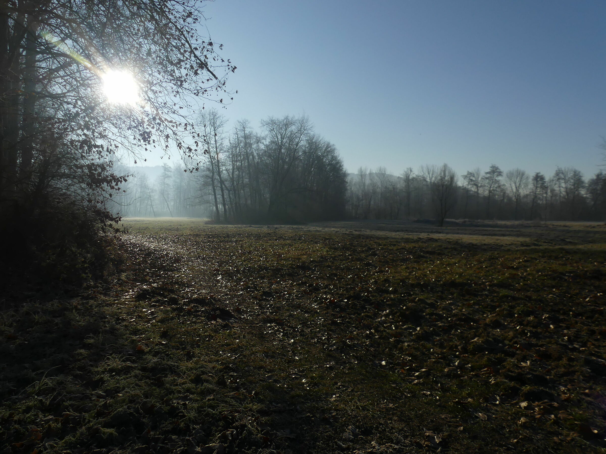 Untitled Photo