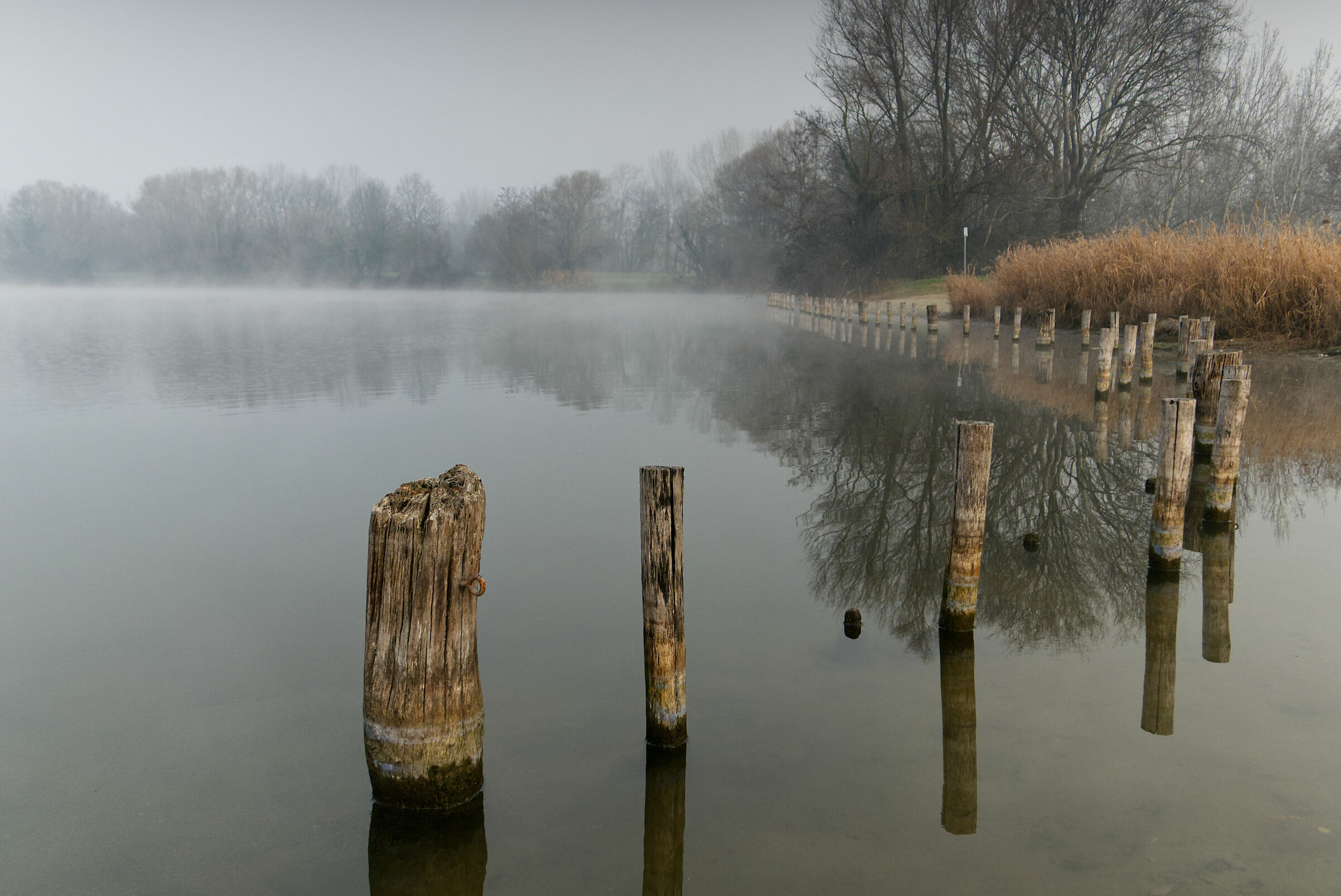 La suggestione della nebbia
