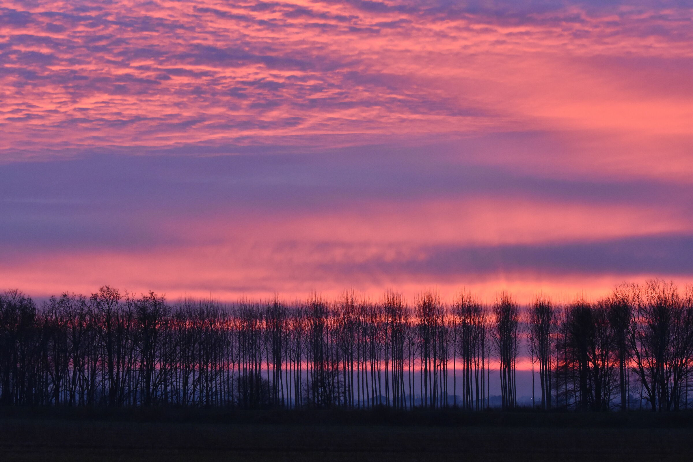 horizon in red and blue