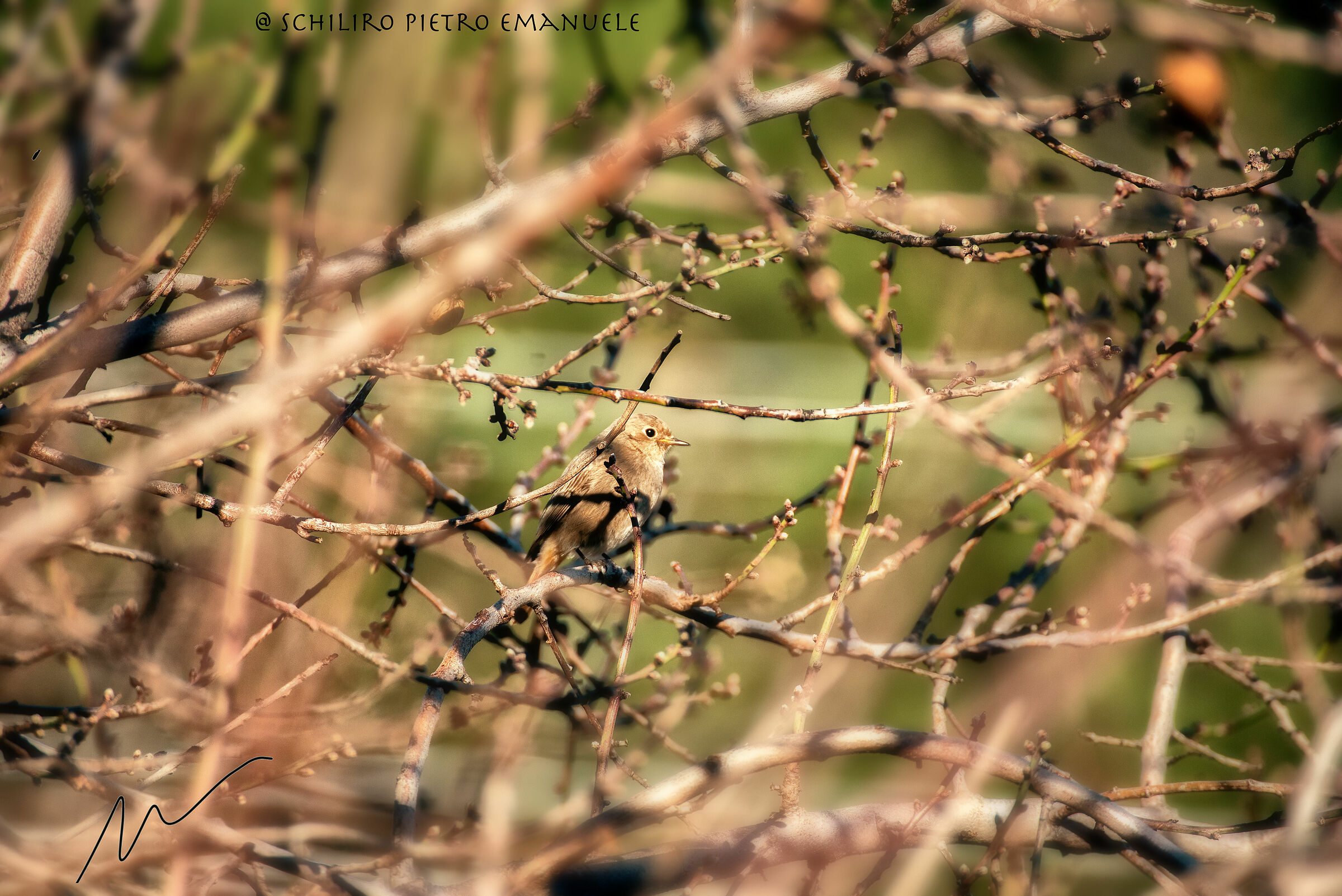 Technical hunting tests... - test 003