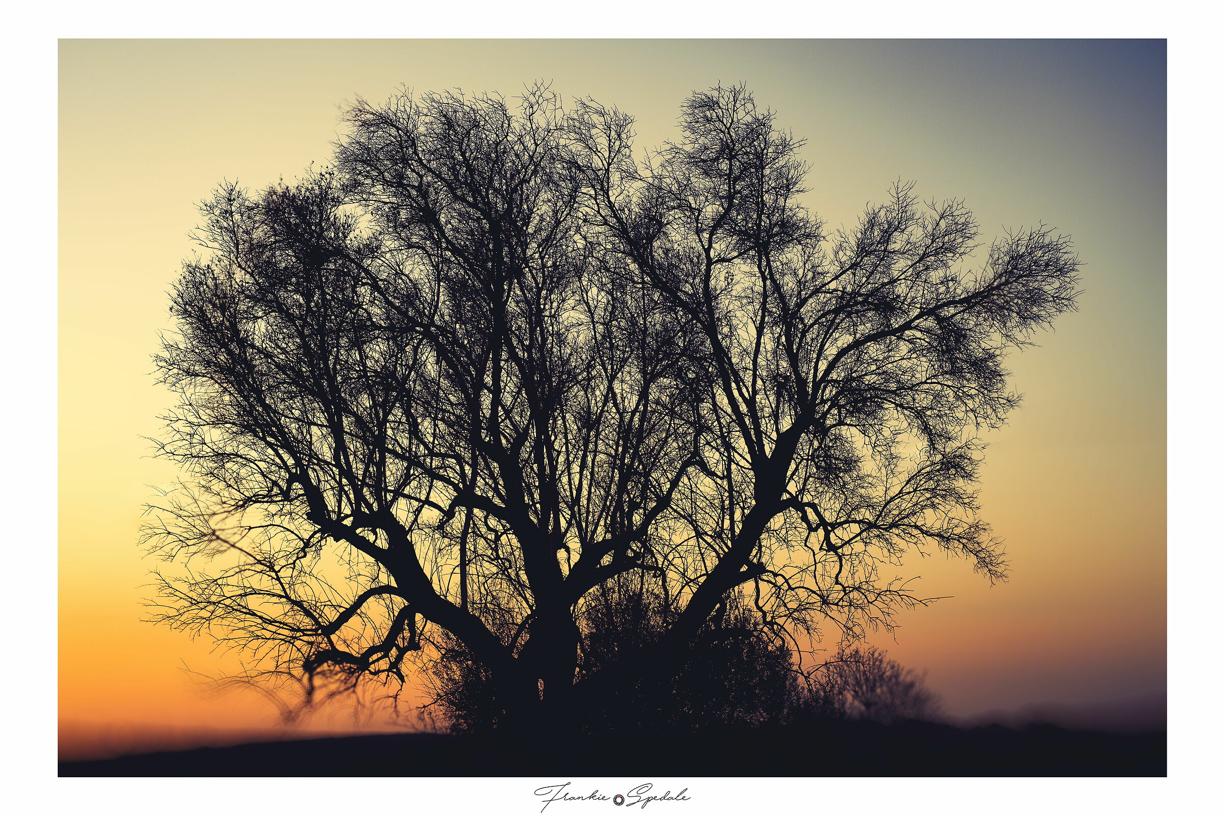 San Marzano di San Giuseppe - TA Puglia
