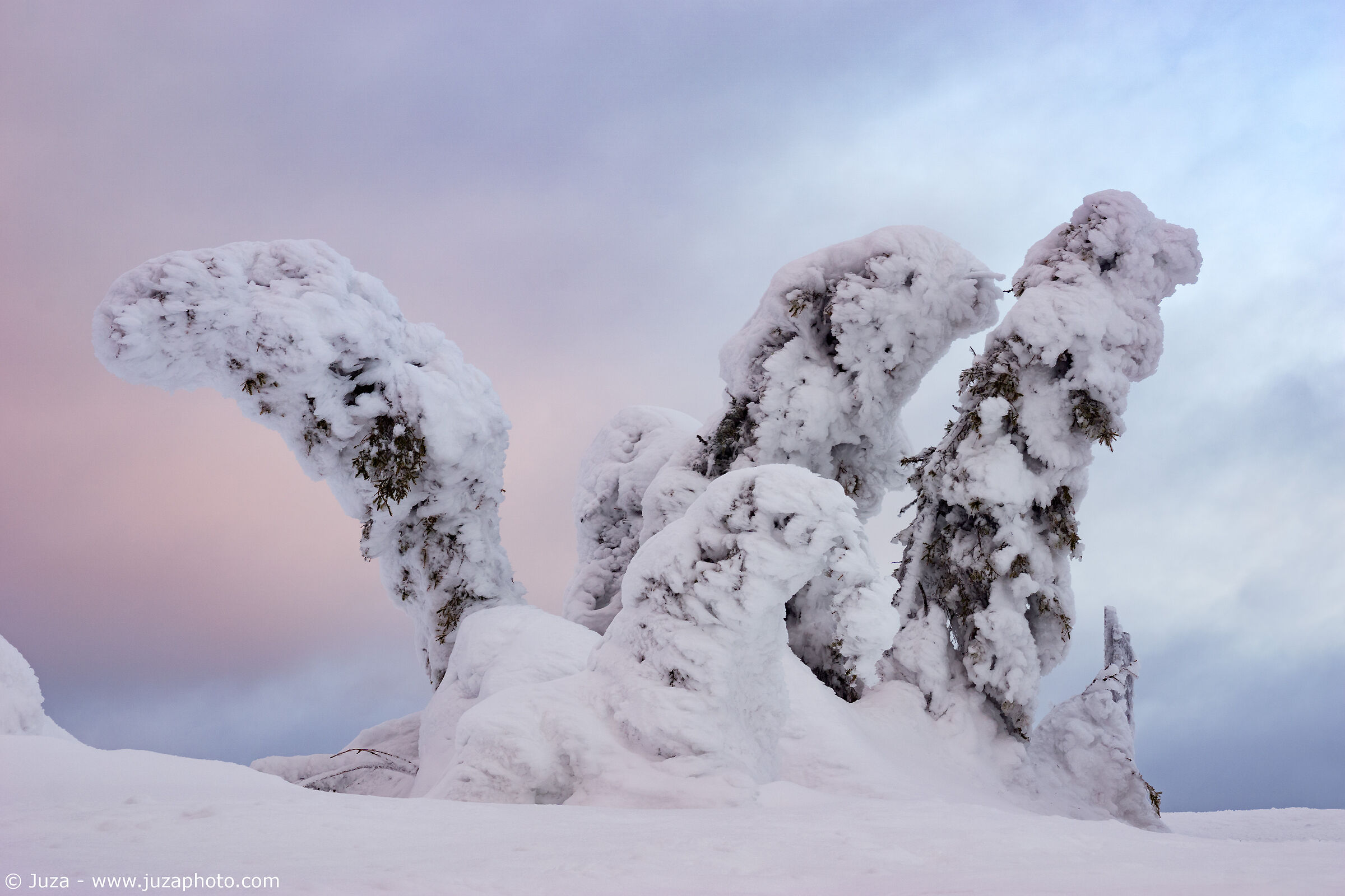 Ice and snow sculptures