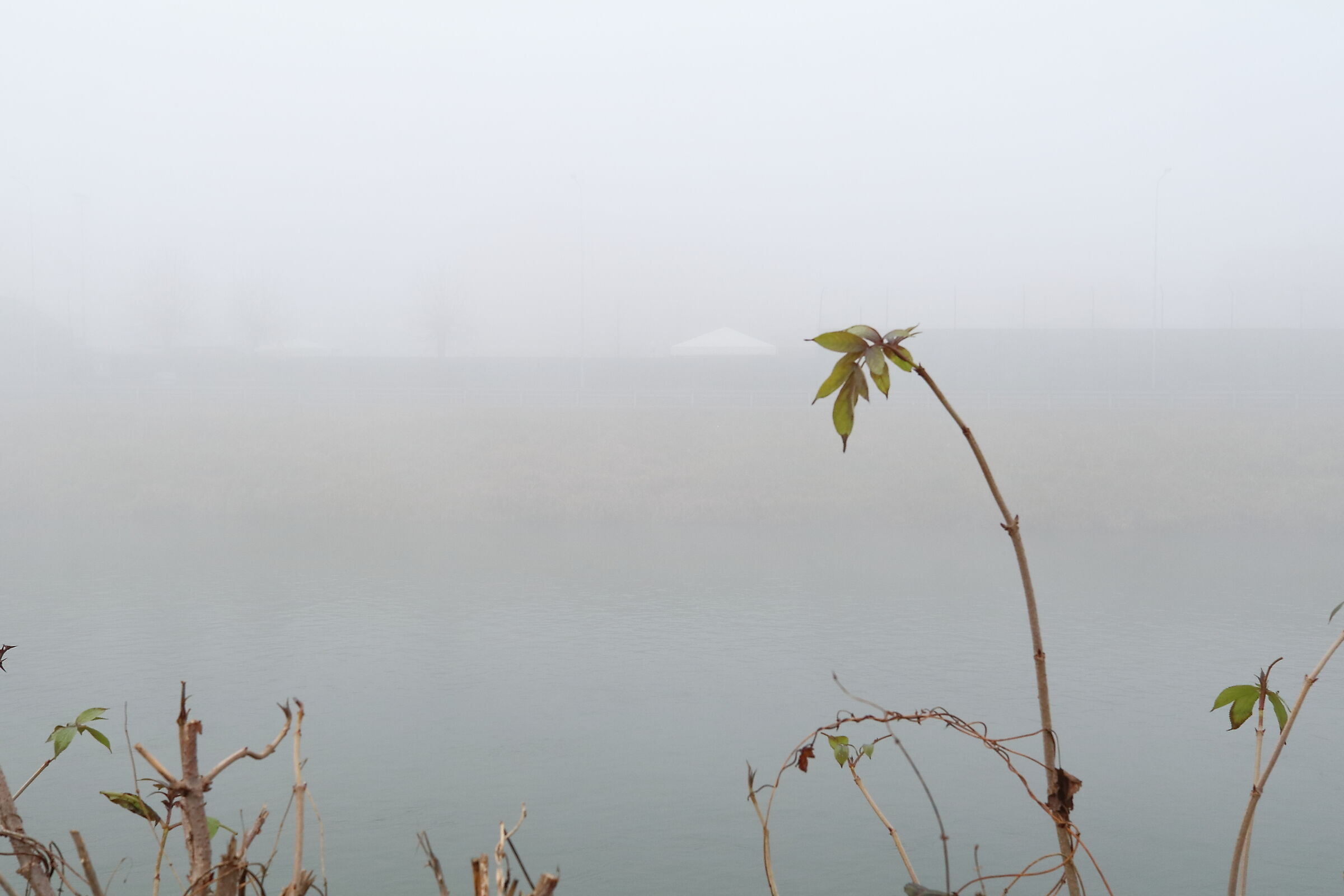Untitled Photo