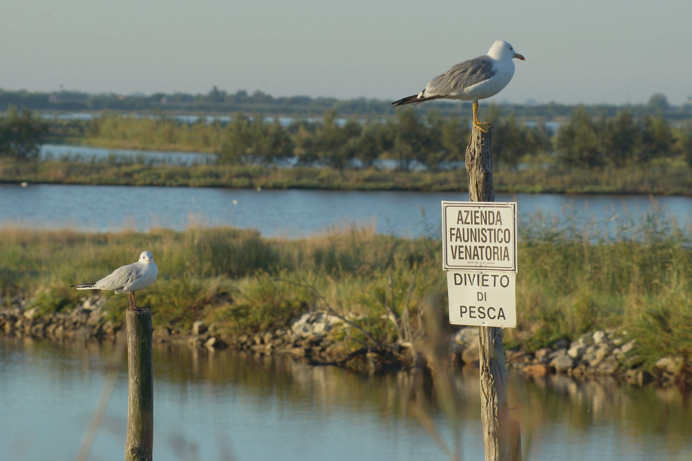 fishing ban?..... But is it going?