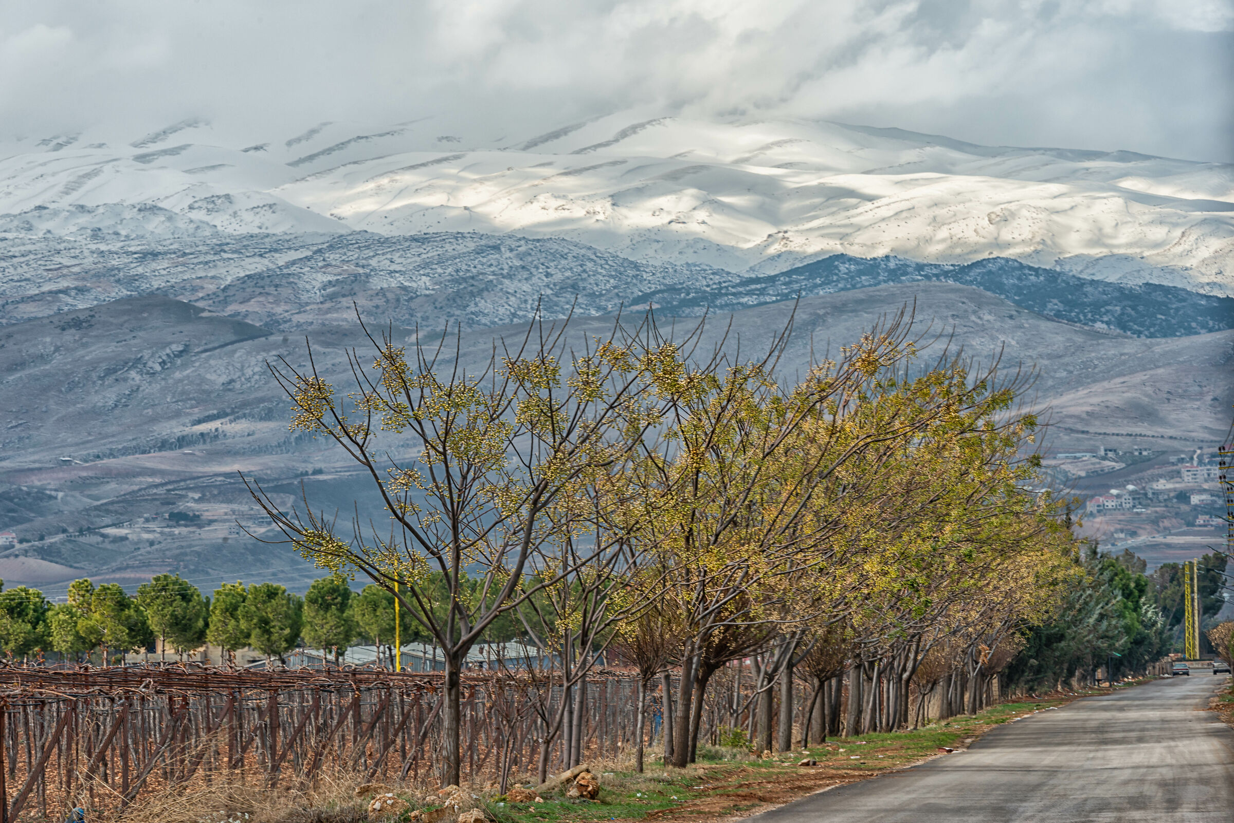 The Beqaa and the Western Mountains