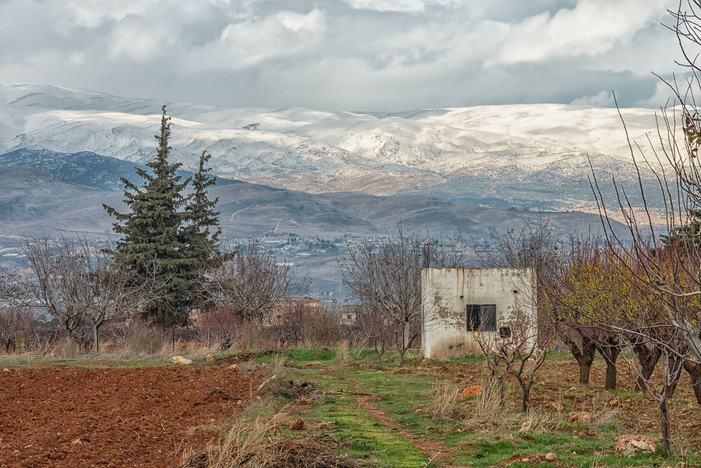 The Farm and First Snow