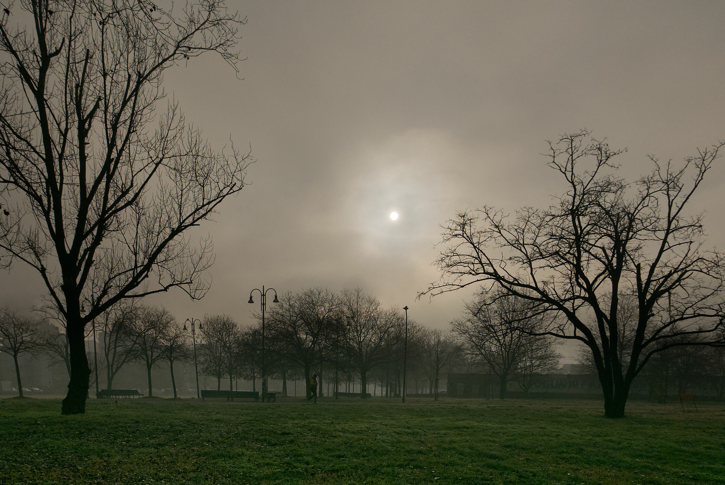 E tra la nebbia spuntò il sole