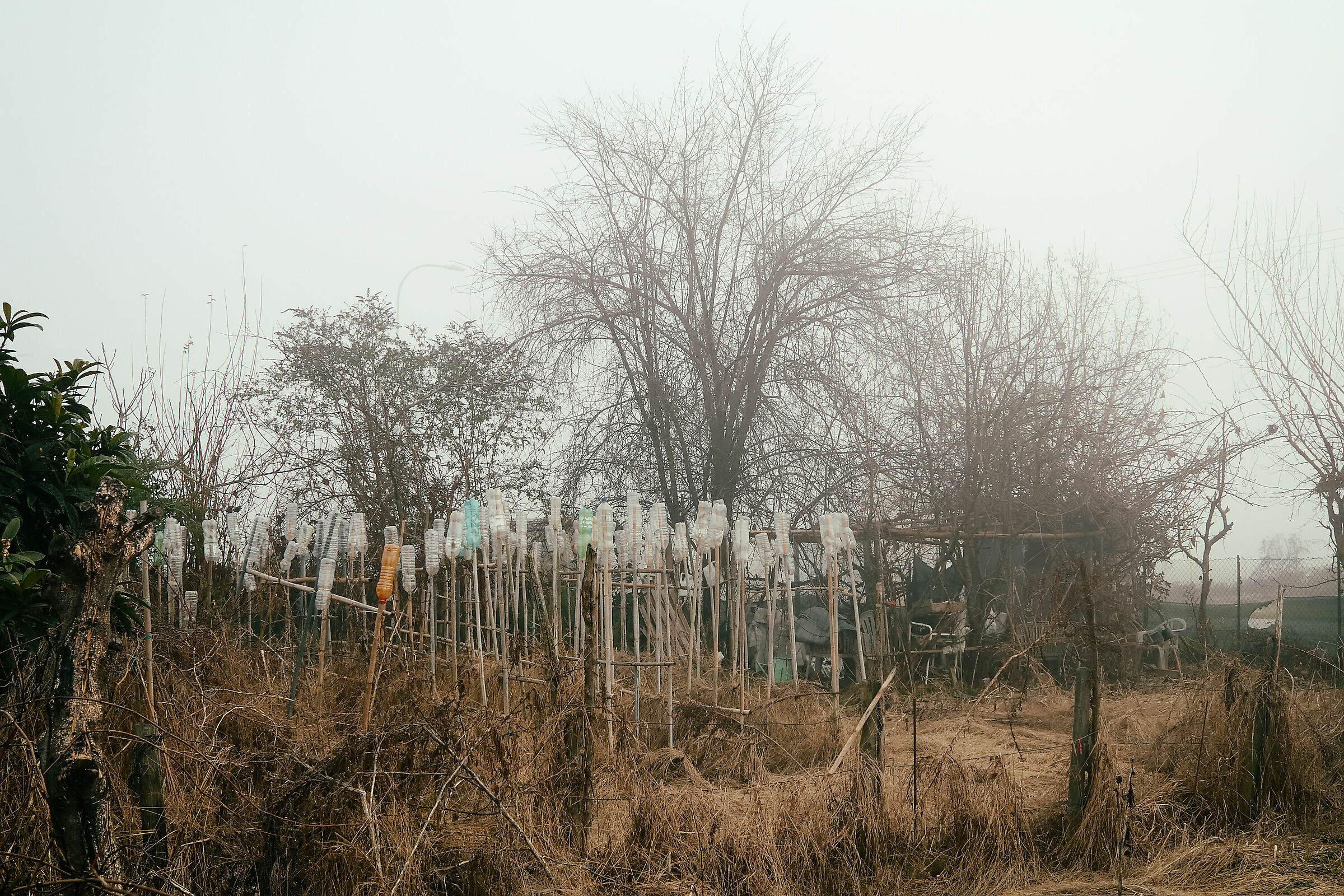 Untitled Photo