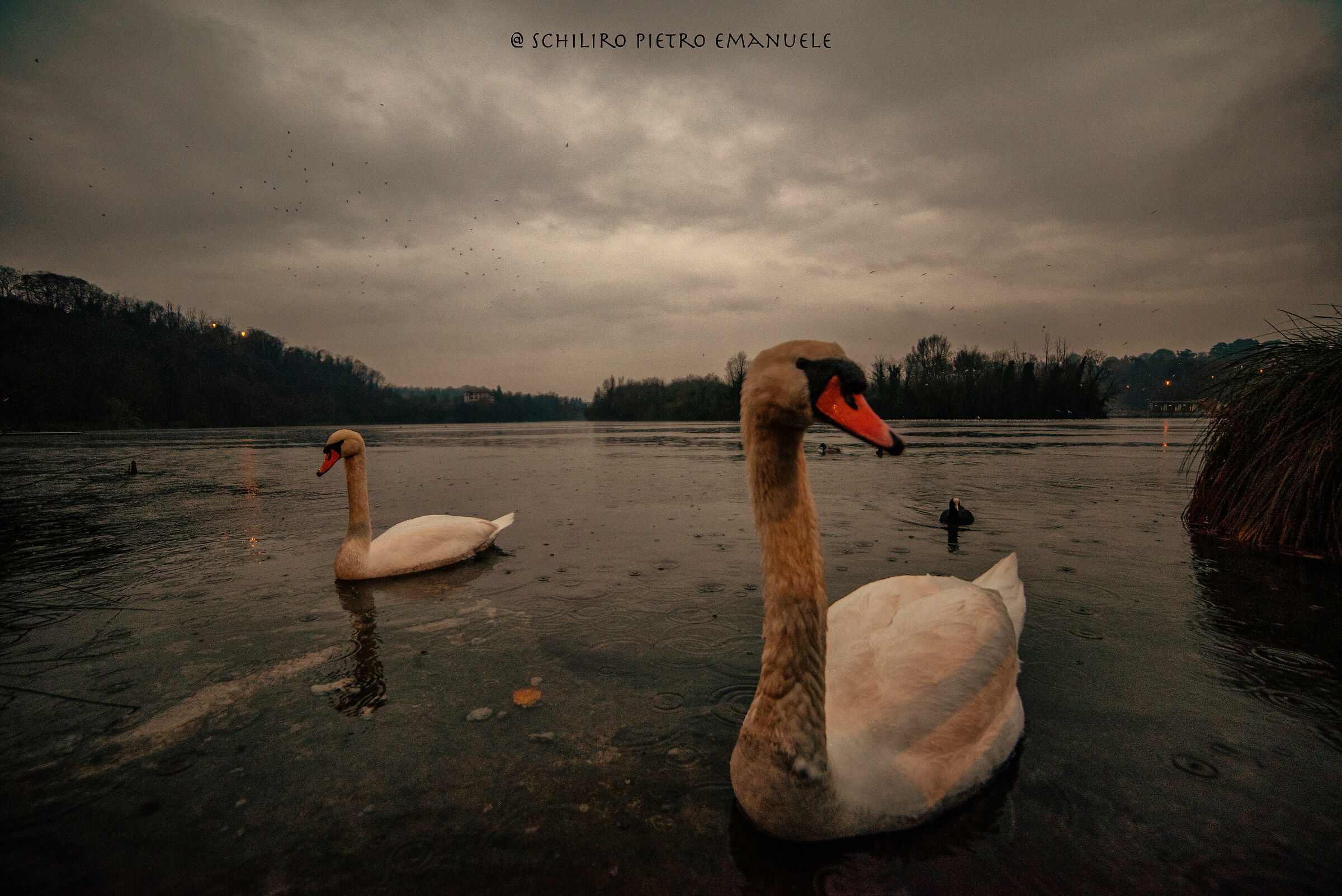 Being Friends - After the Storm Silence