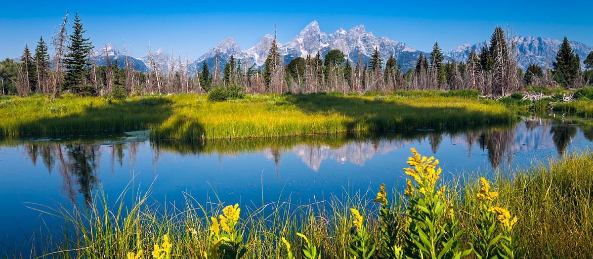 Grand Teton