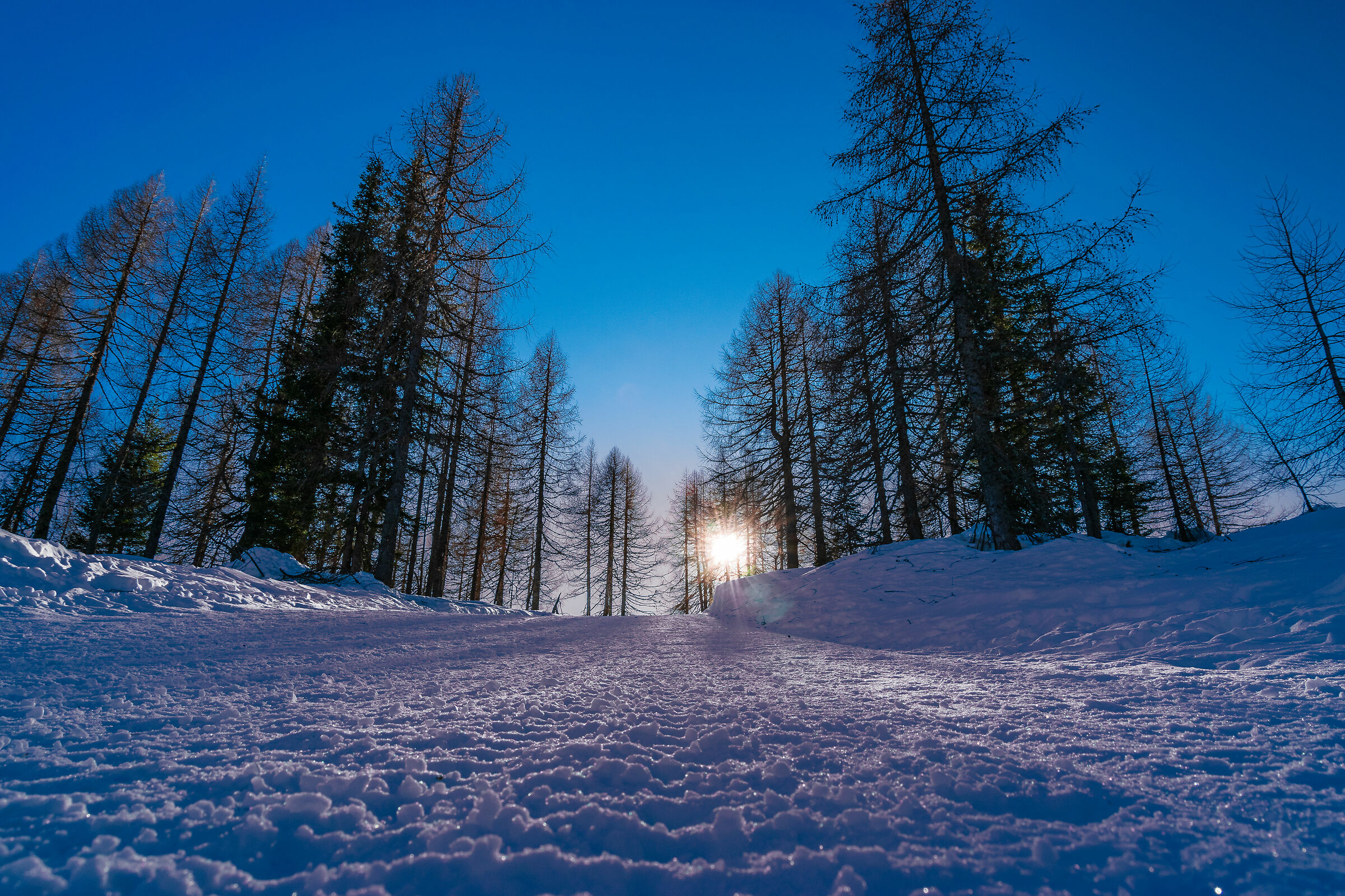 Camminando sovrappensiero..