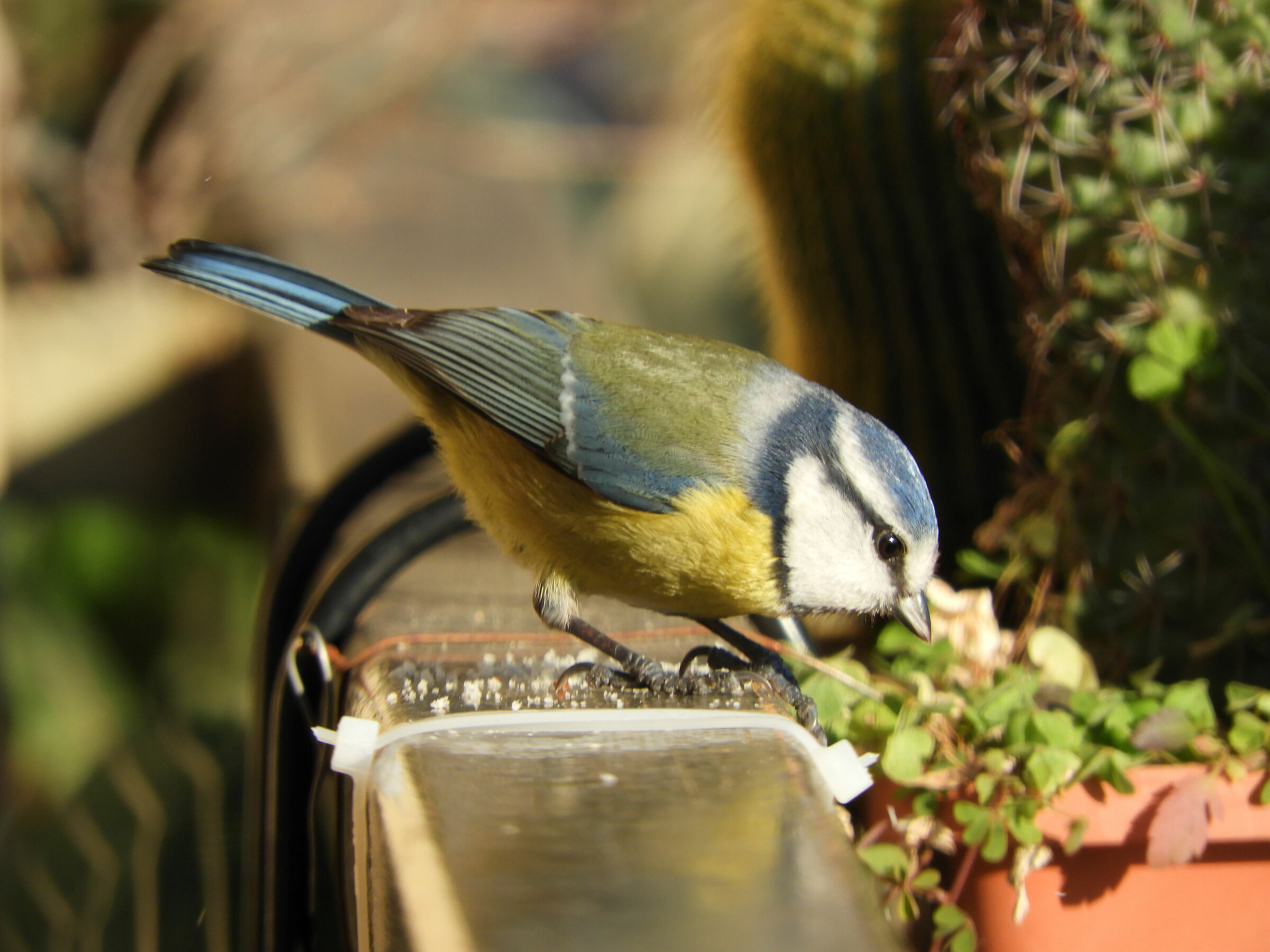 When you leave I eat