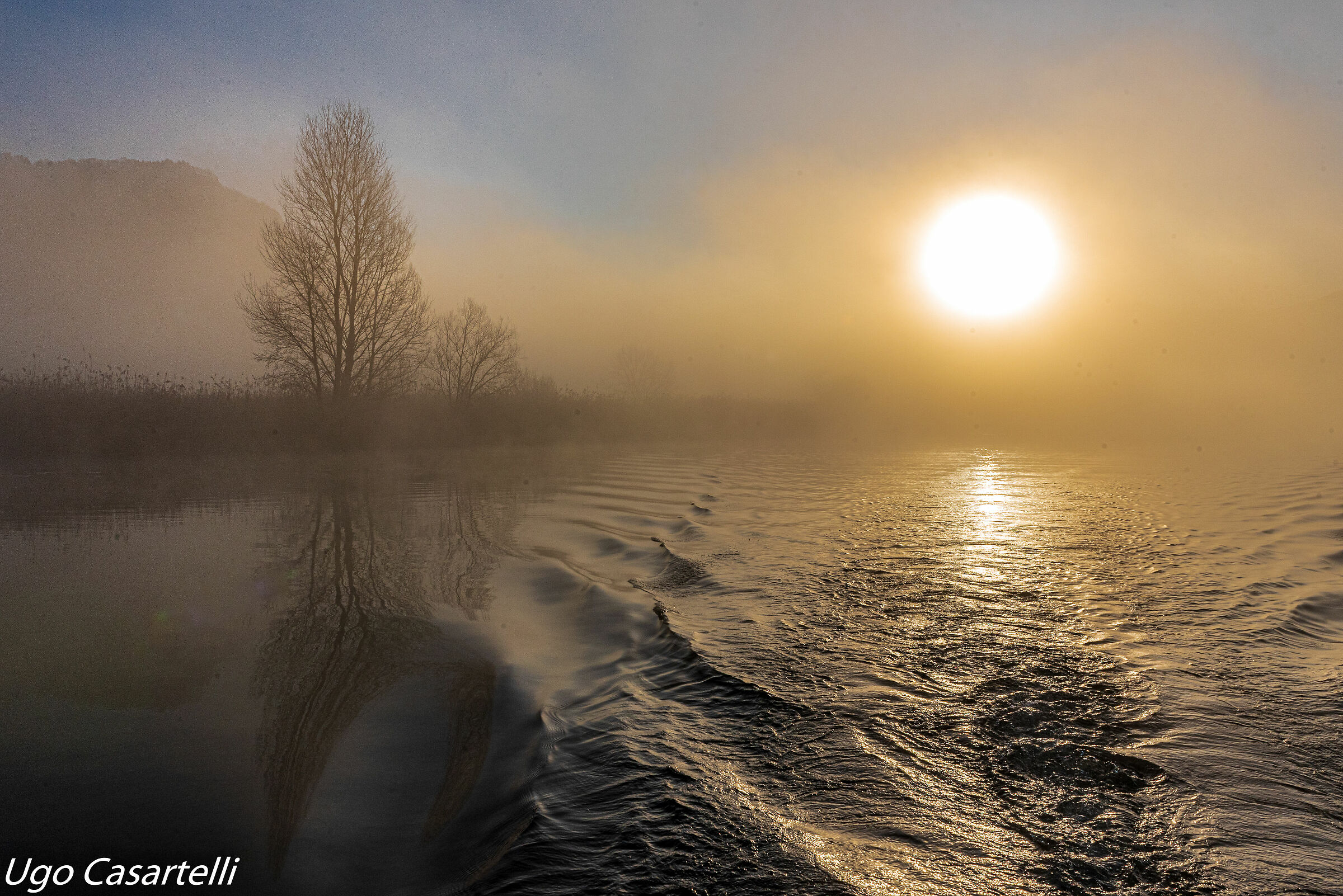 Sorge il sole dalla nebbia