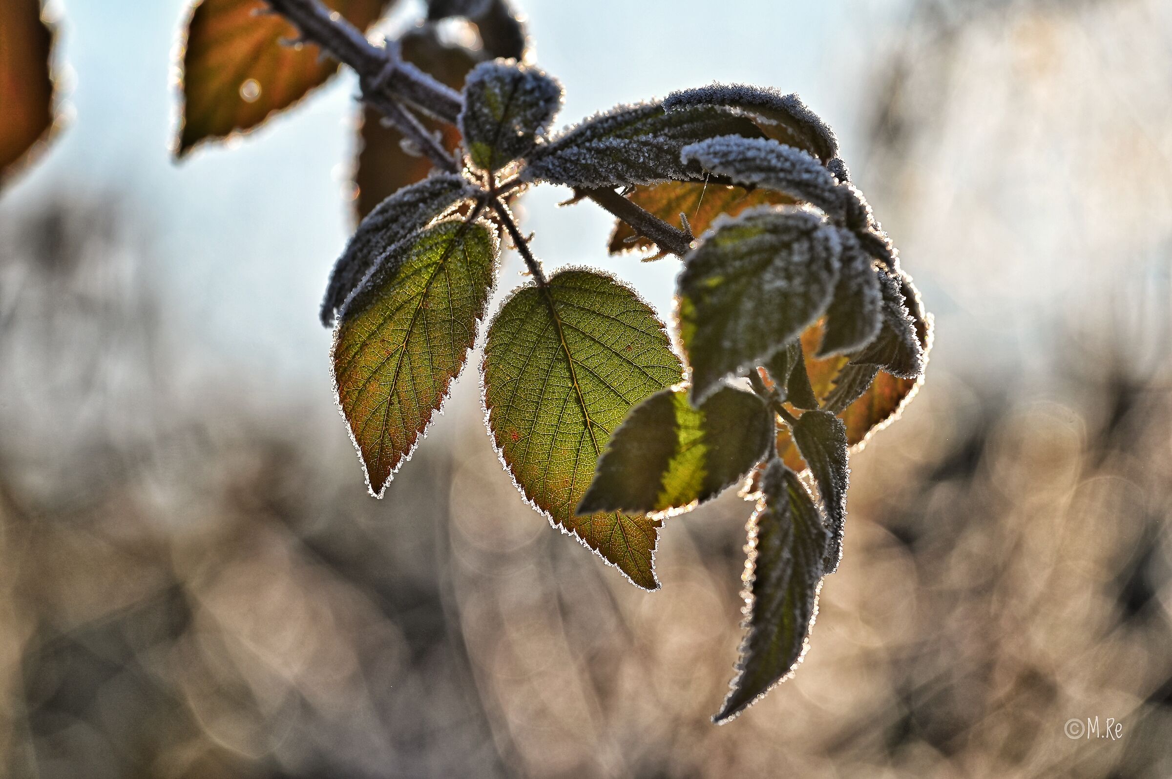 Untitled Photo