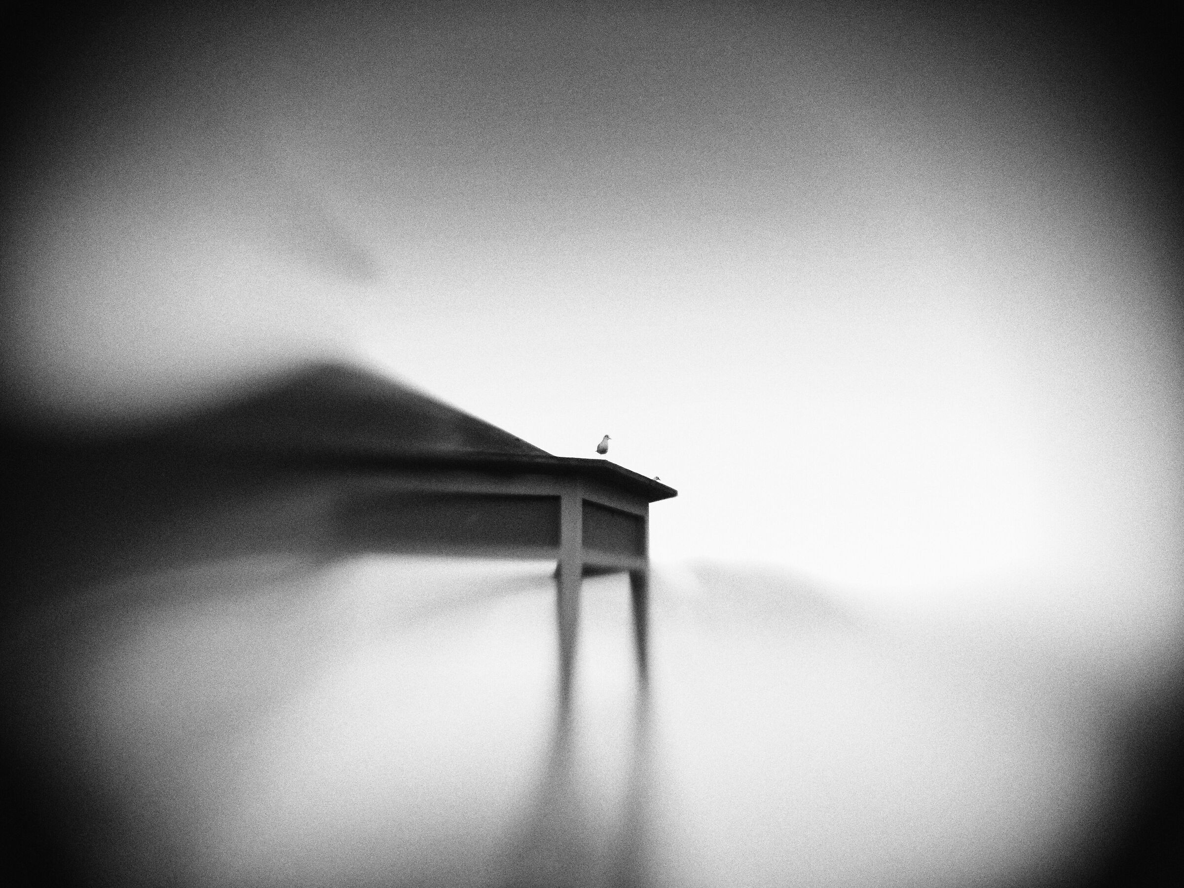 Test lensbaby mobile 1