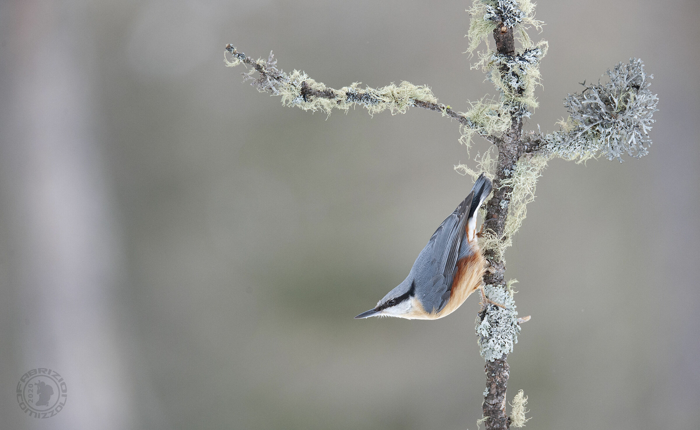 The bricklayer.......