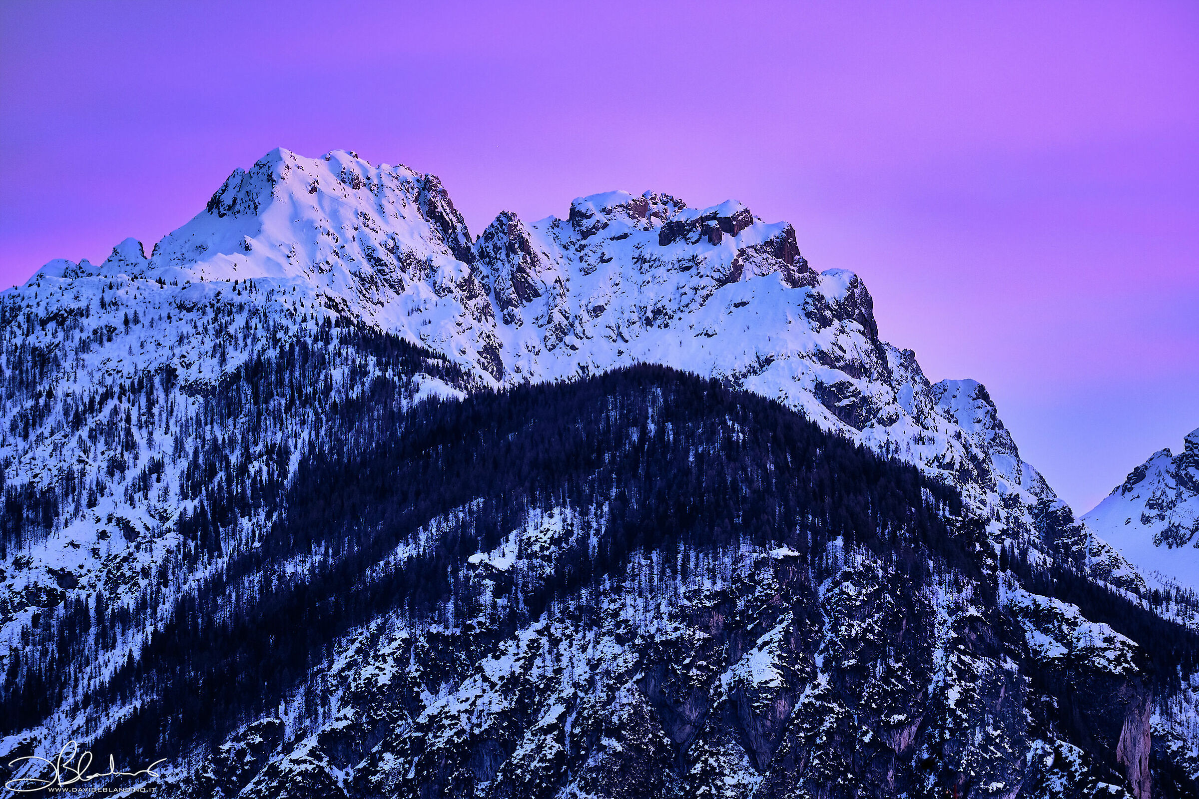 e' tutto divenne viola